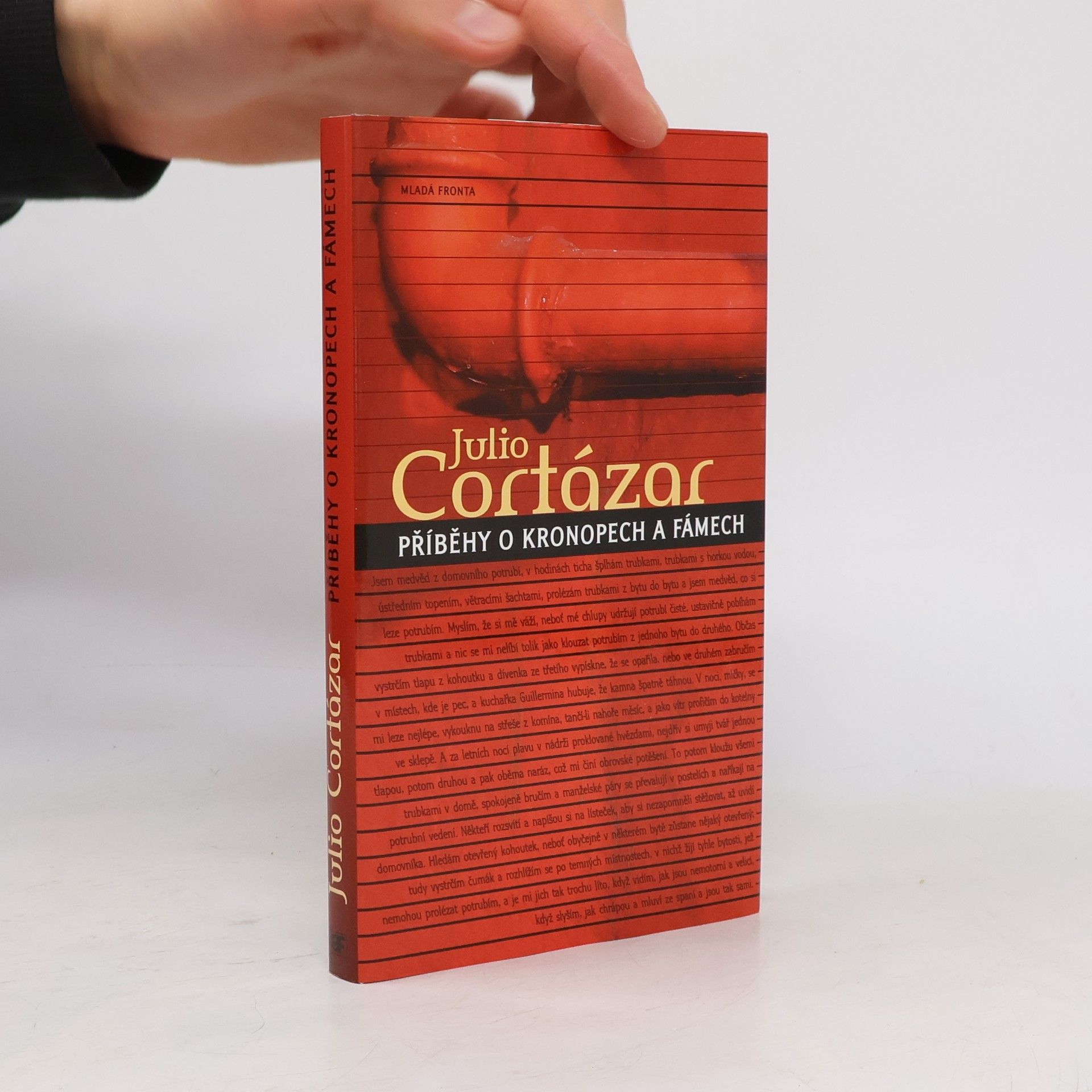 Julio Cortázar Příběhy o kronopech a fámech