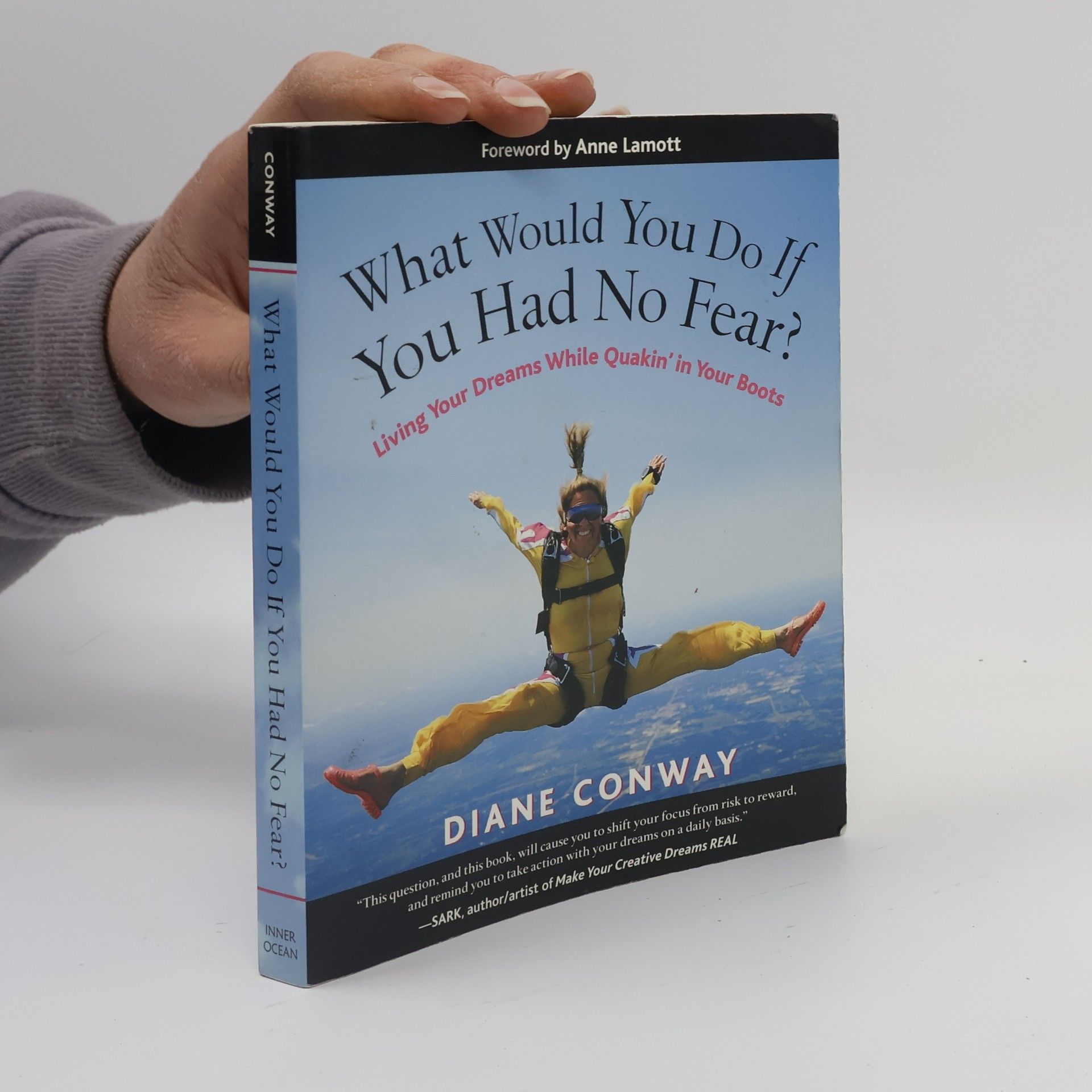 What Would You Do If You Had No Fear?