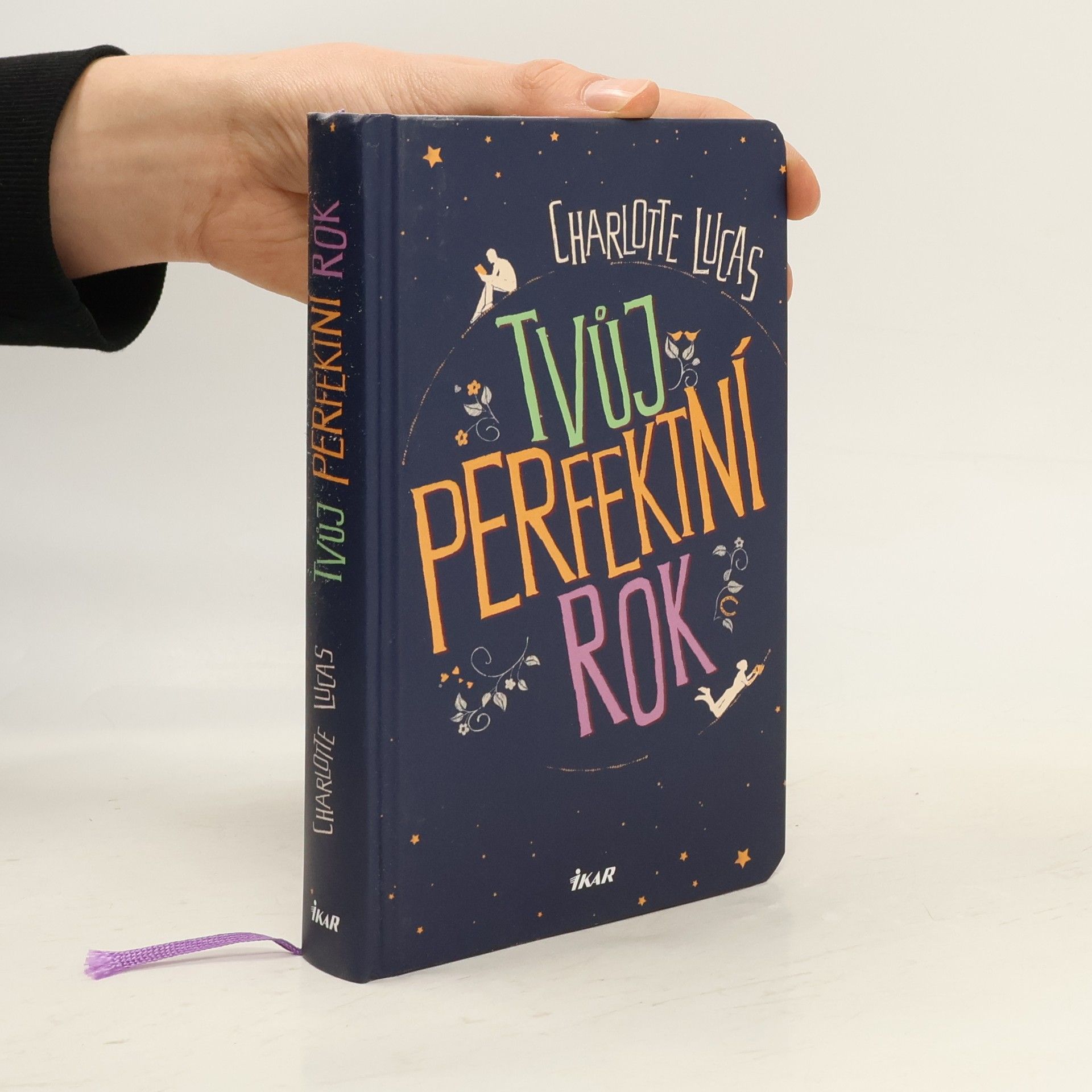 Charlotte Lucas Tvůj perfektní rok