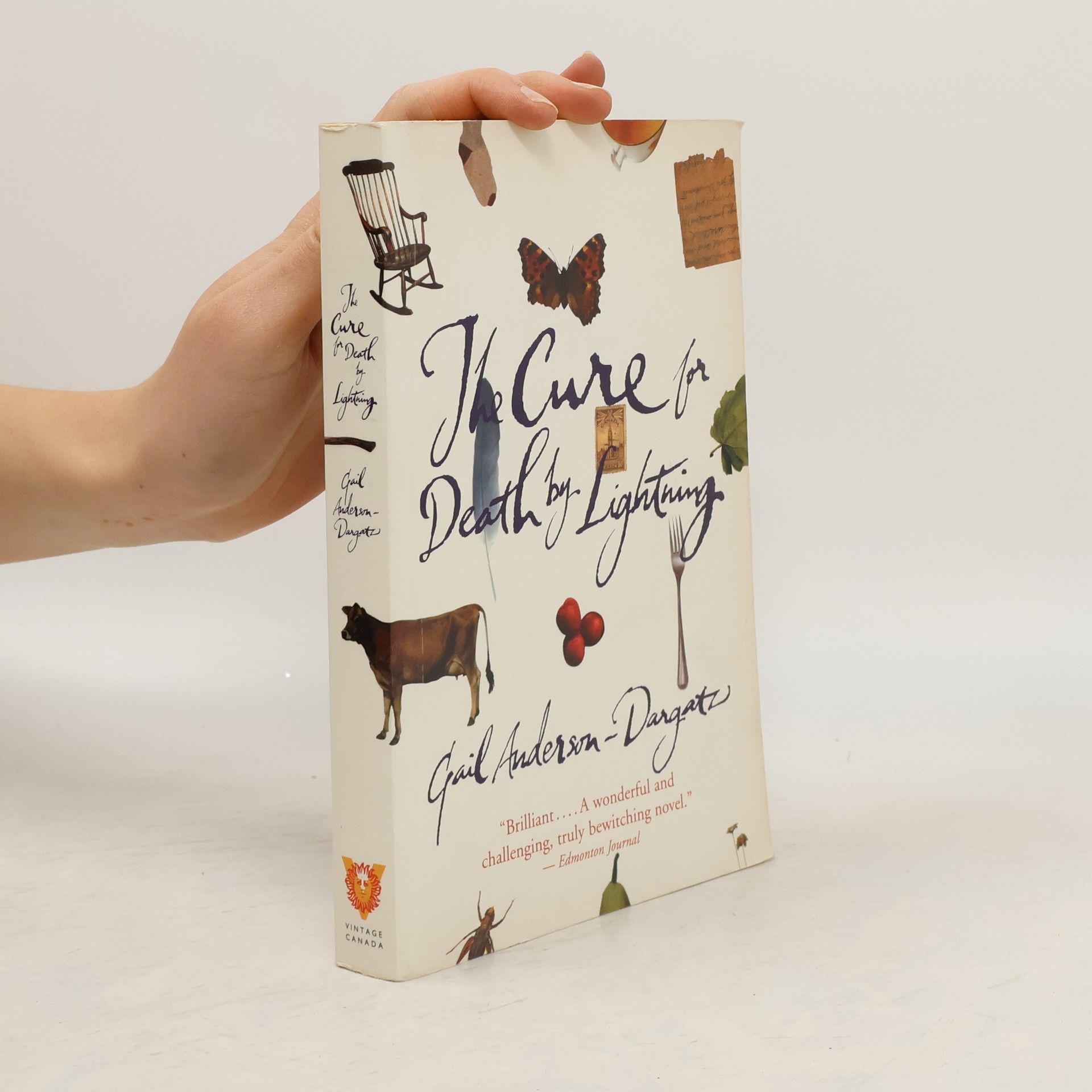 Gail Anderson-Dargatz The cure for death by lightning