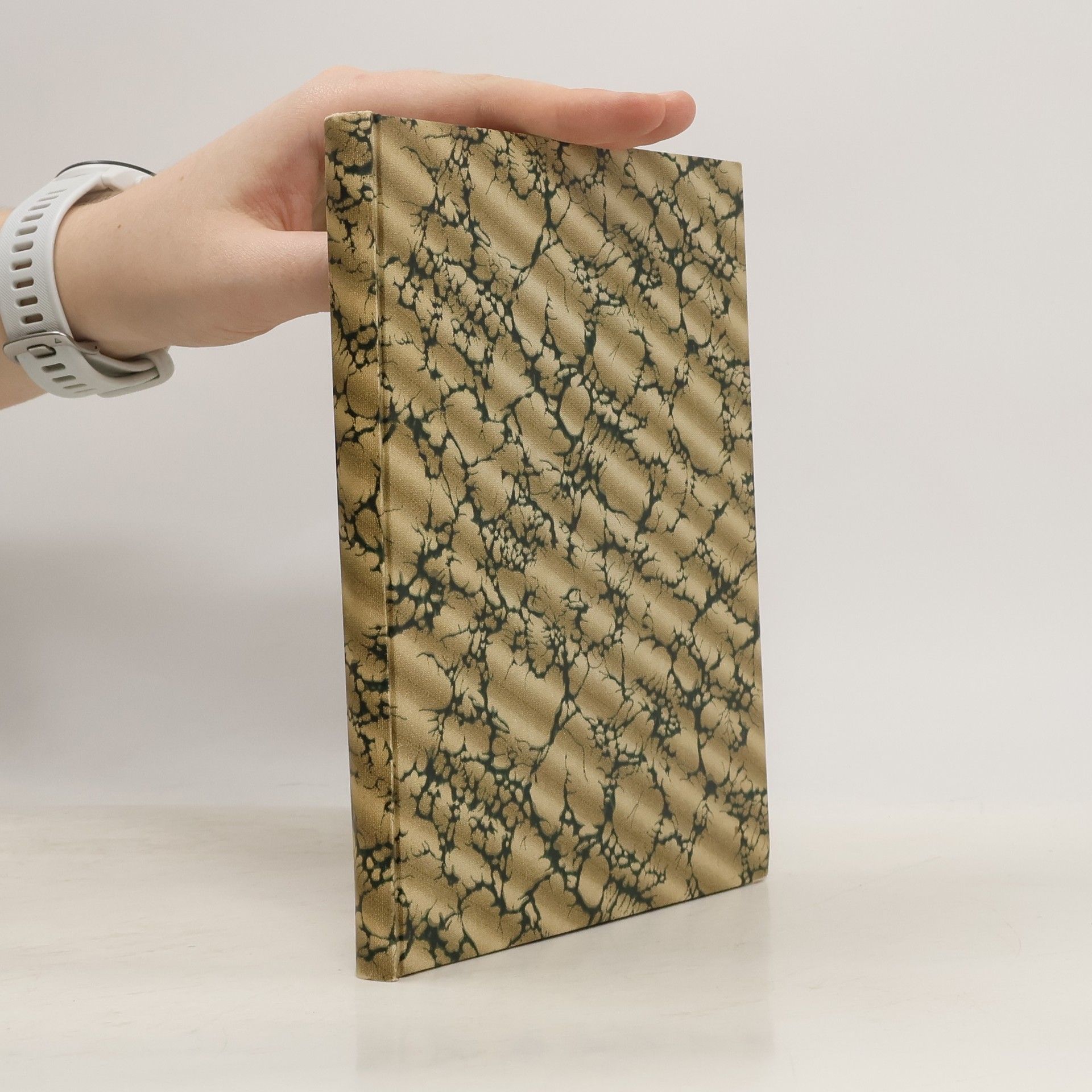 Francisco Borgia Götzenberger Römisch-Catholischer Päbstlicher Ablaß. Wider die Lutherische Einwürff. Vertheidiget in einigen auf der Hohen Dom-Cantzel zu Augspurg Gehaltenen Predigen