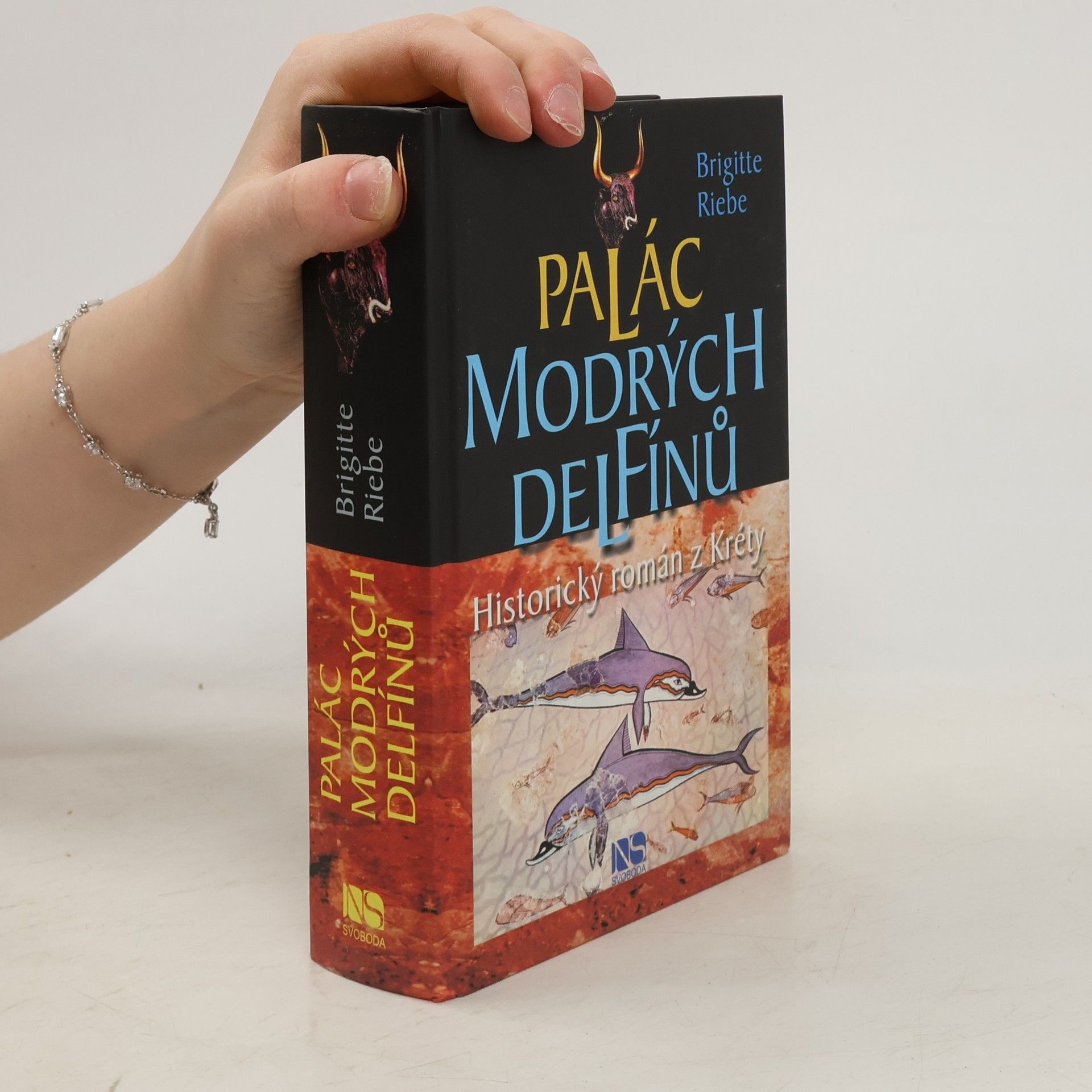 Brigitte Riebe Palác modrých delfínů