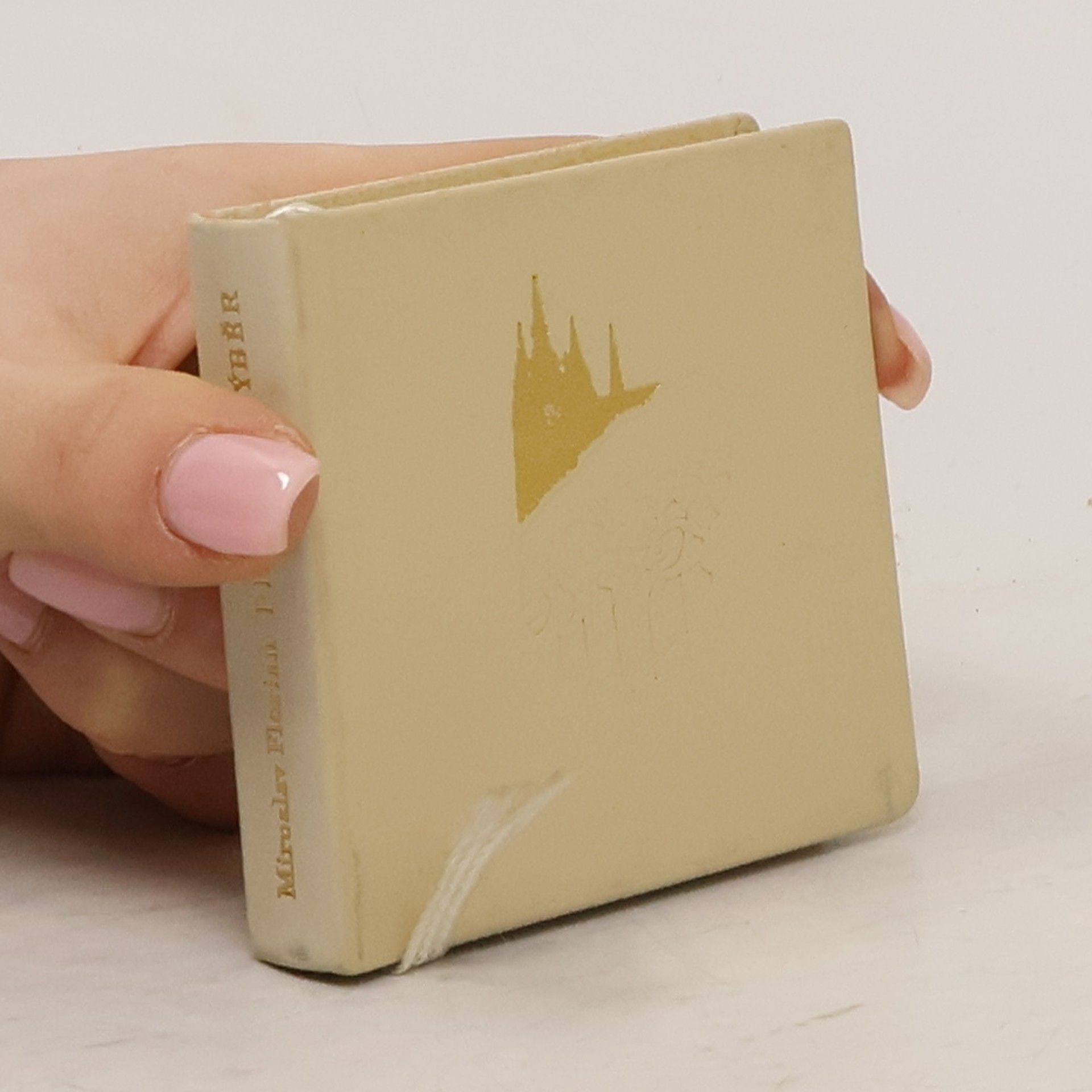 Miroslav Florian Pražský výběr