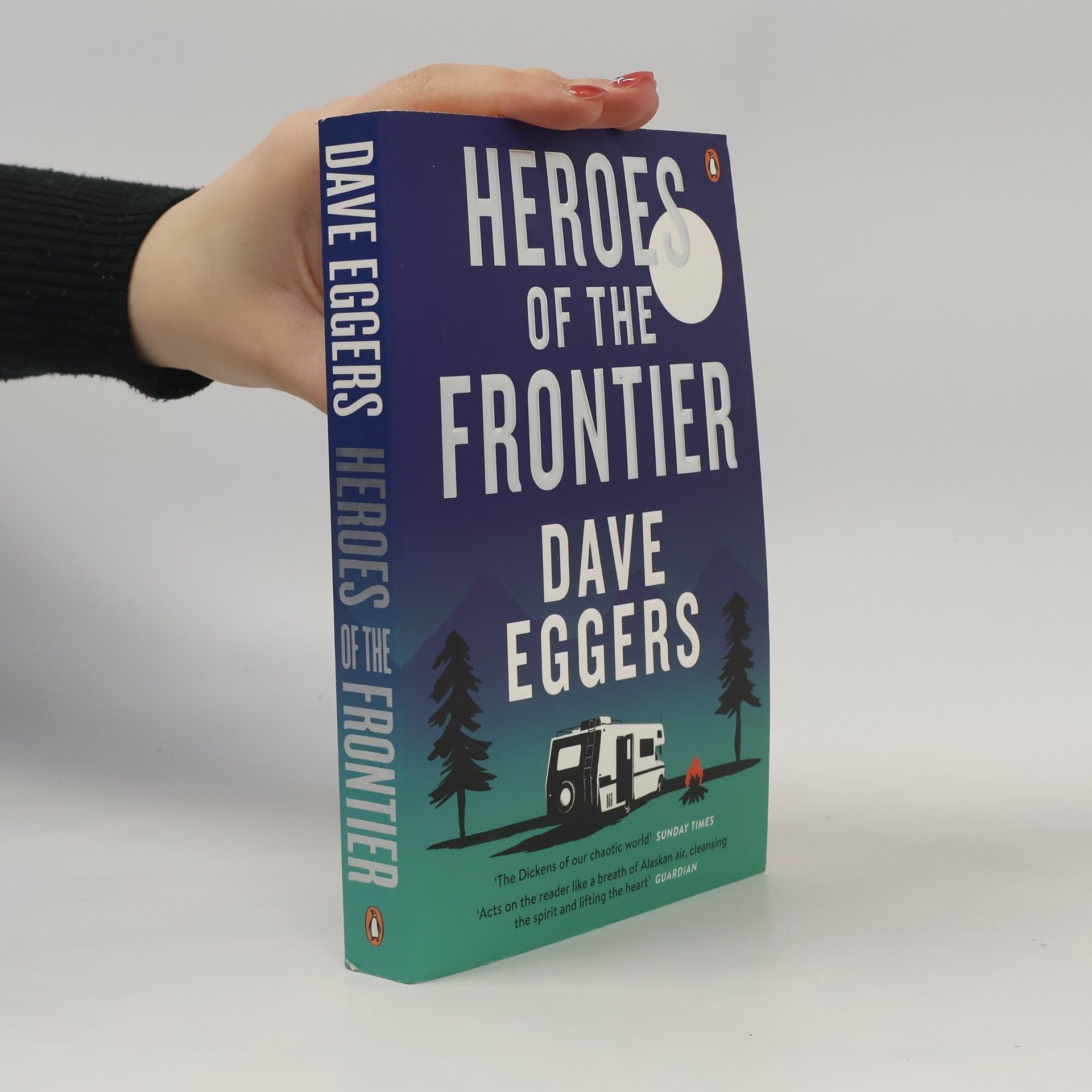 Dave Eggers Heroes of the frontier