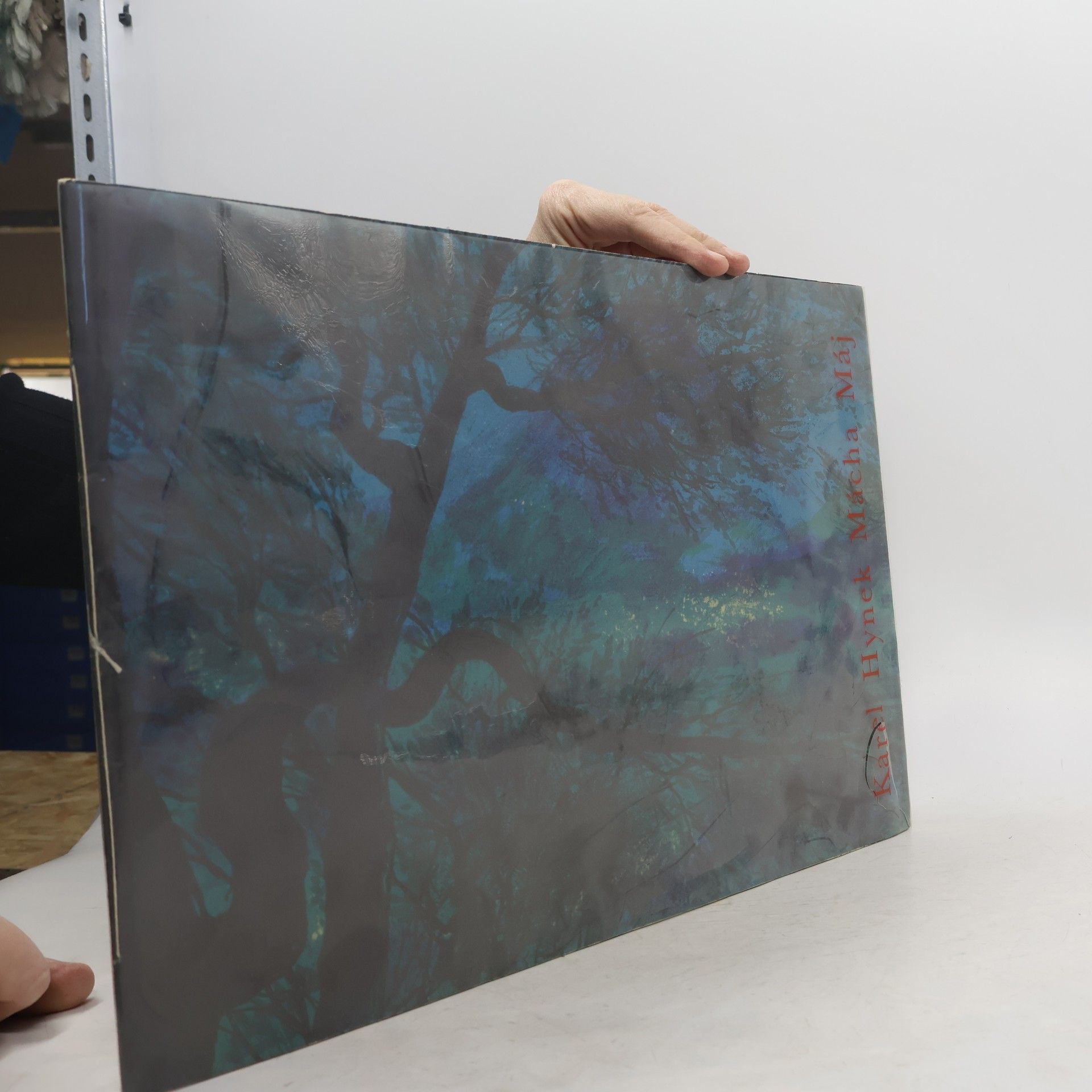 Karel Hynek Mácha Máj