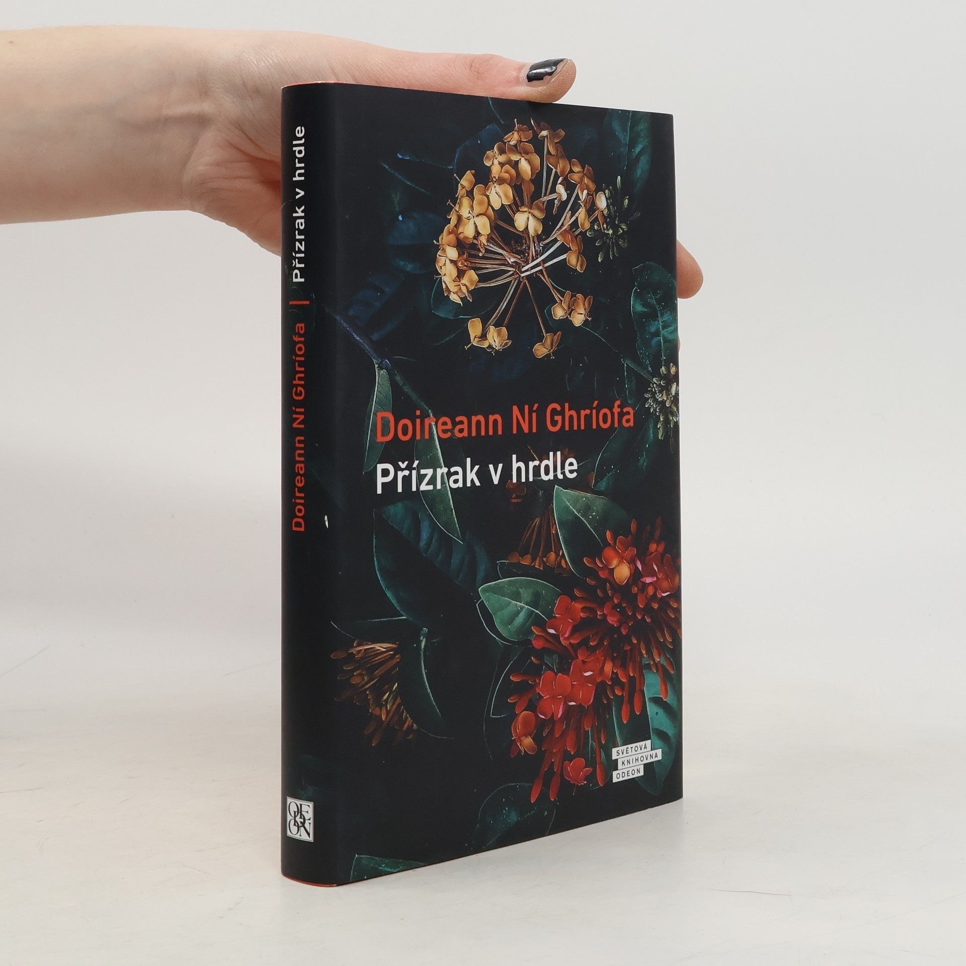 Doireann Ní Ghríofa Přízrak v hrdle