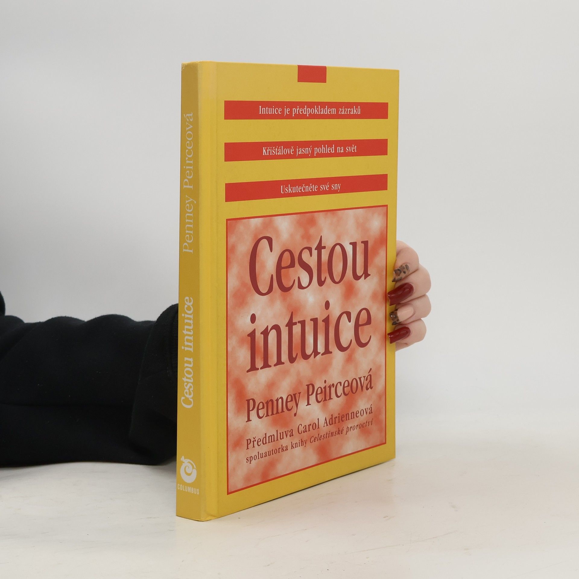 Penney Peirce Cestou intuice: Průvodce životem pod vedením vnitřní moudrosti