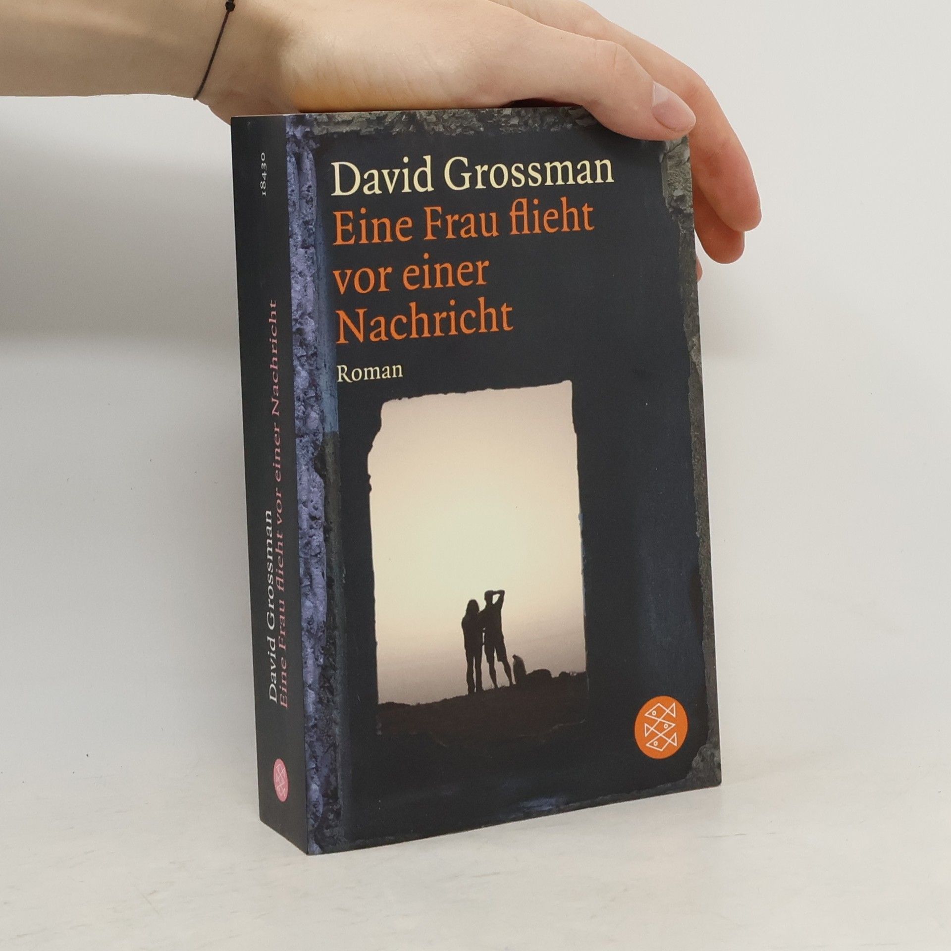 David Grossman Eine Frau flieht vor einer Nachricht