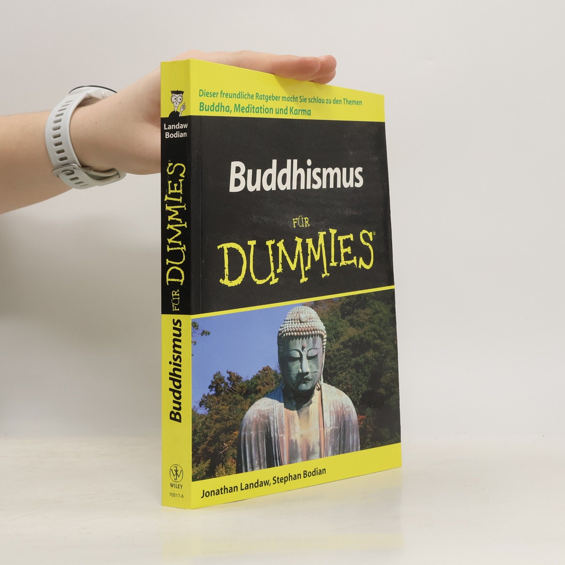 Jonathan Landaw Buddhismus für Dummies