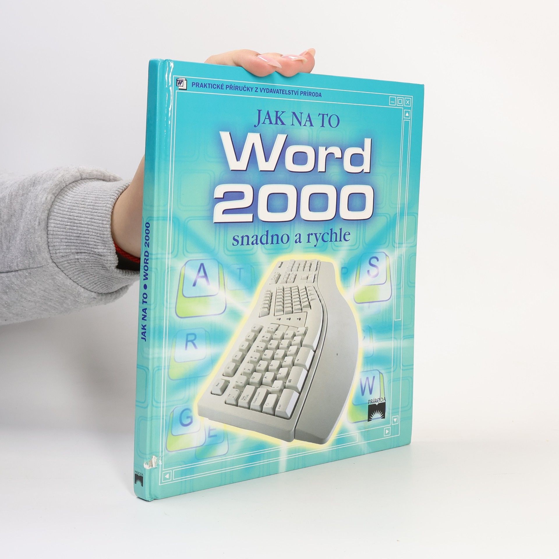 Rebecca Gilpin Jak na to - Word 2000