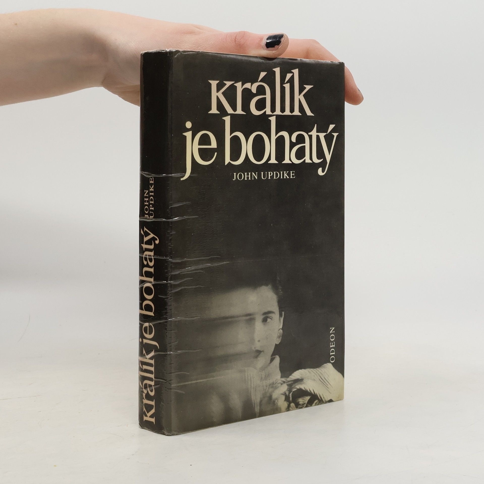 John Updike Králík je bohatý