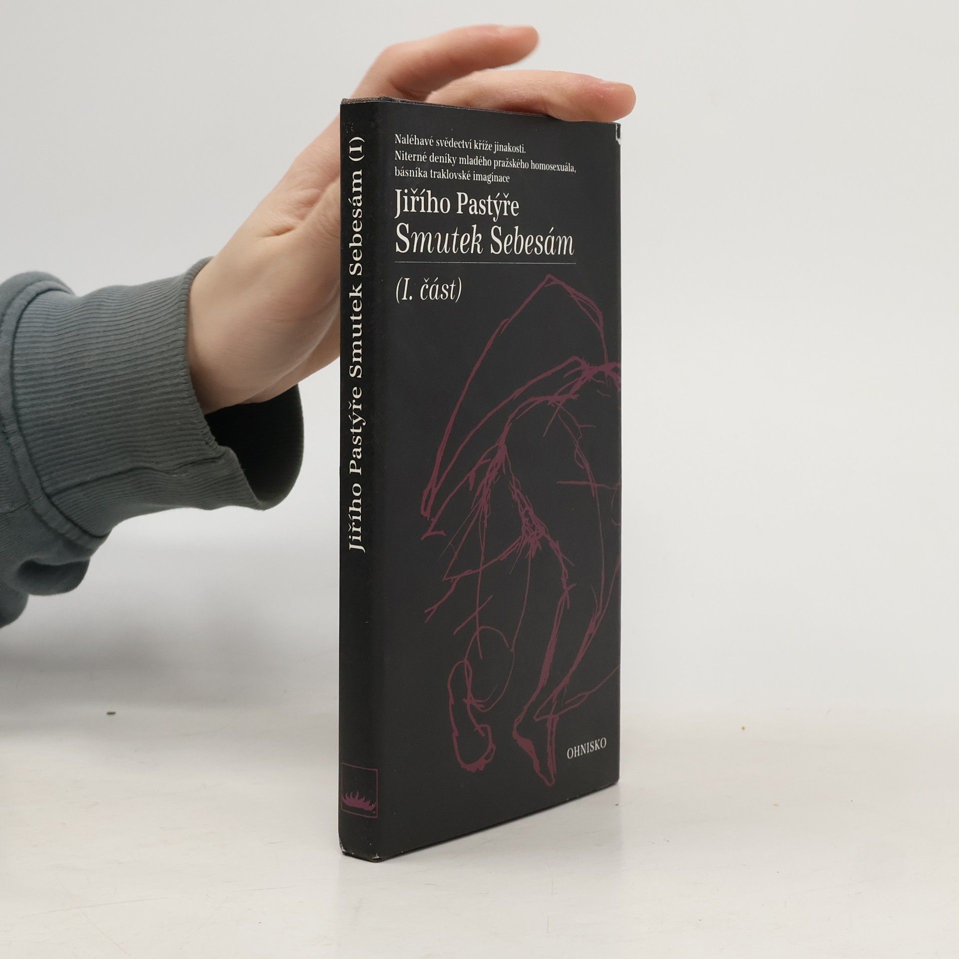 Jiří Pastýř Smutek Sebesám (1. část)