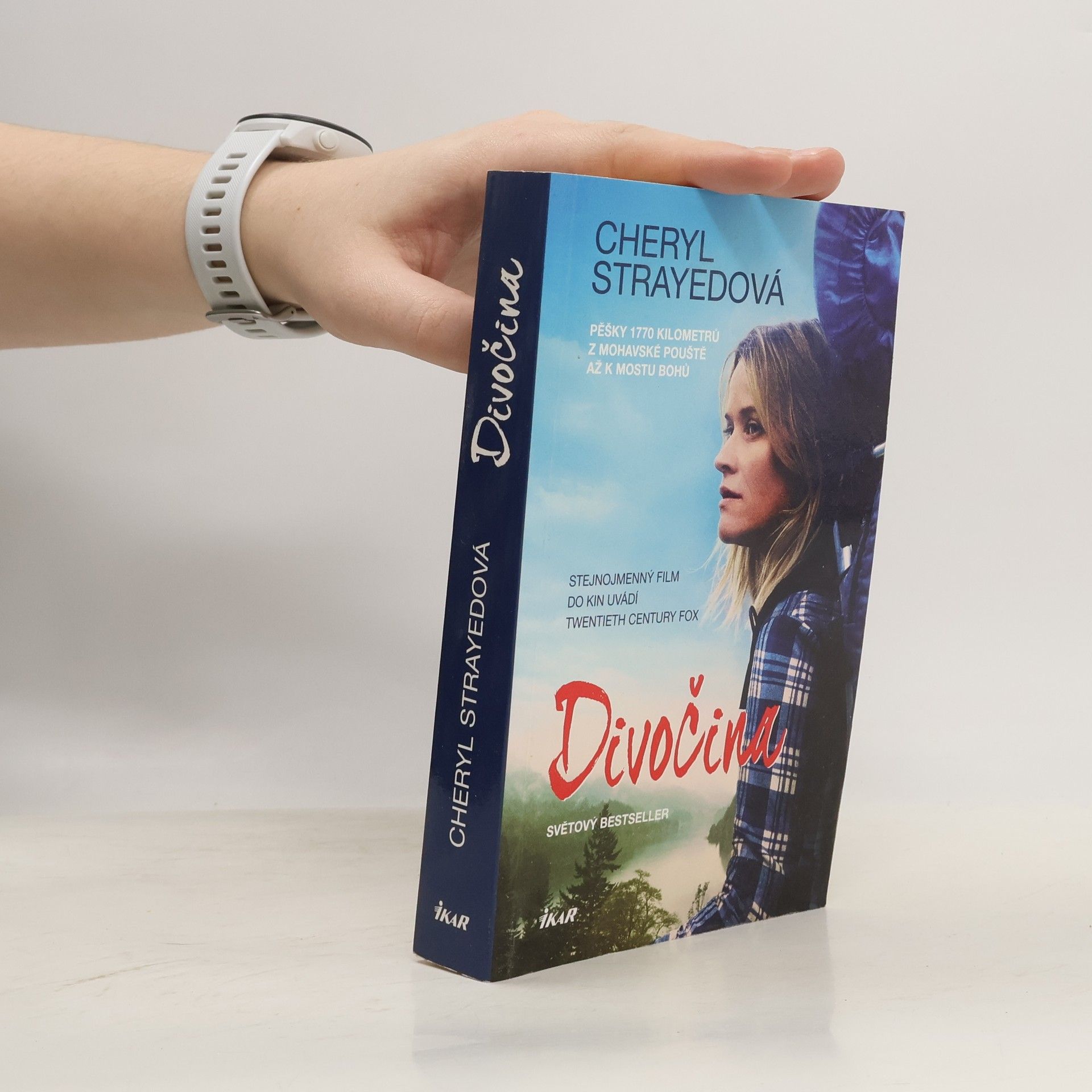 Cheryl Strayed Divočina. Pěšky 1770 kilometrů z Mohavské pouště až k mostu bohů