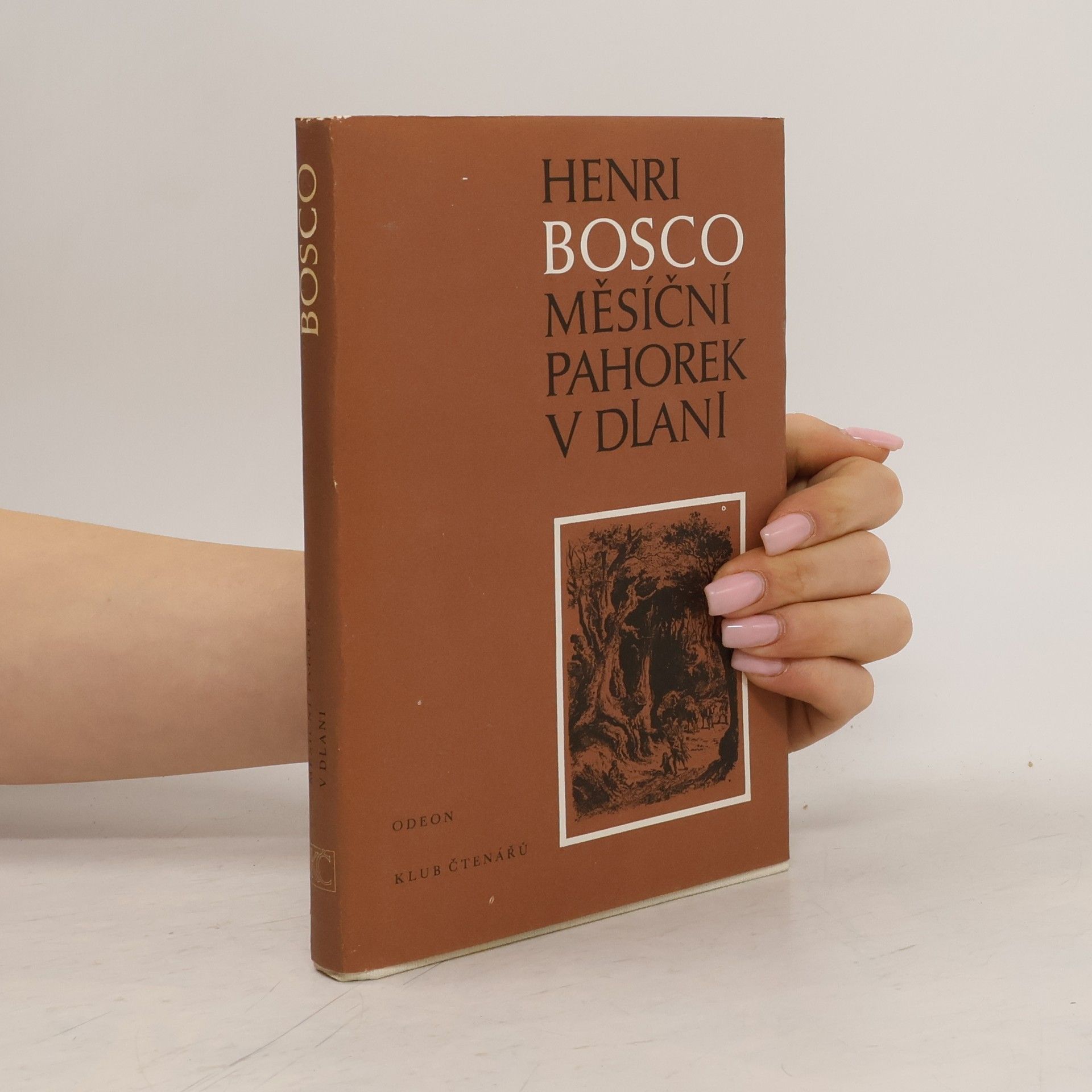 Měsíční pahorek v dlani