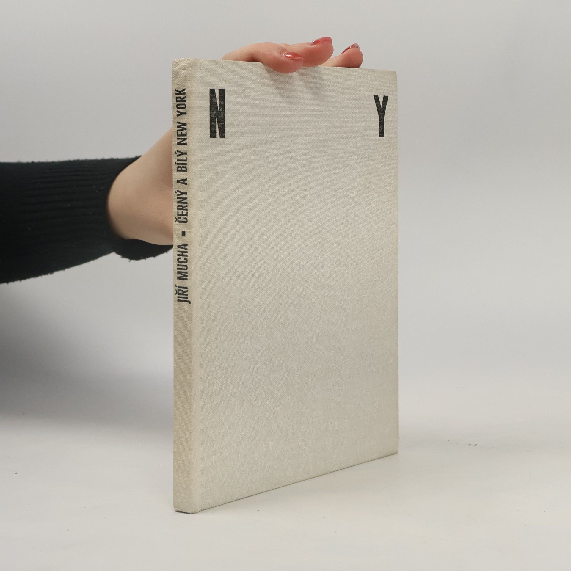 Jiří Mucha Černý a bílý New York