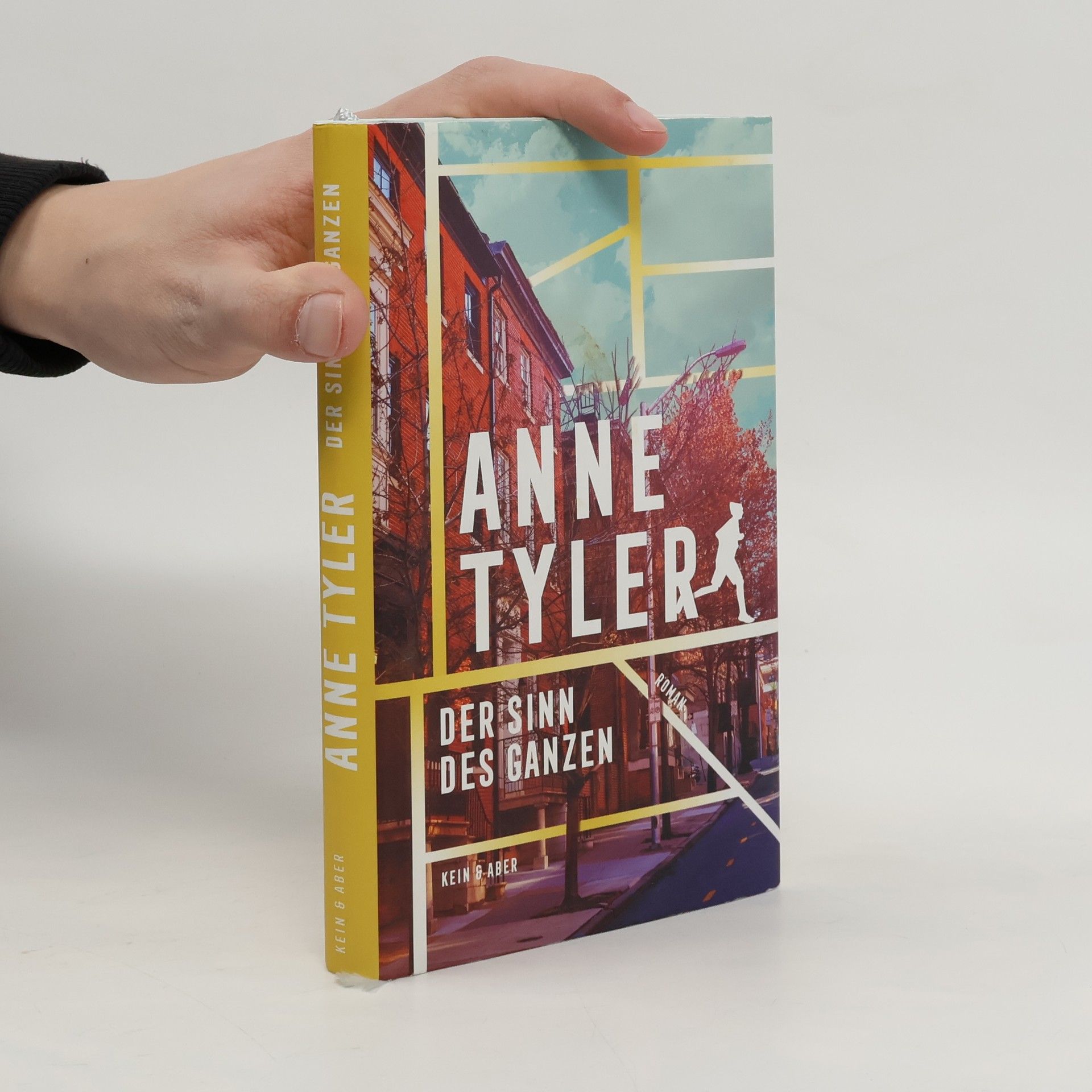 Anne Tyler Der Sinn des Ganzen
