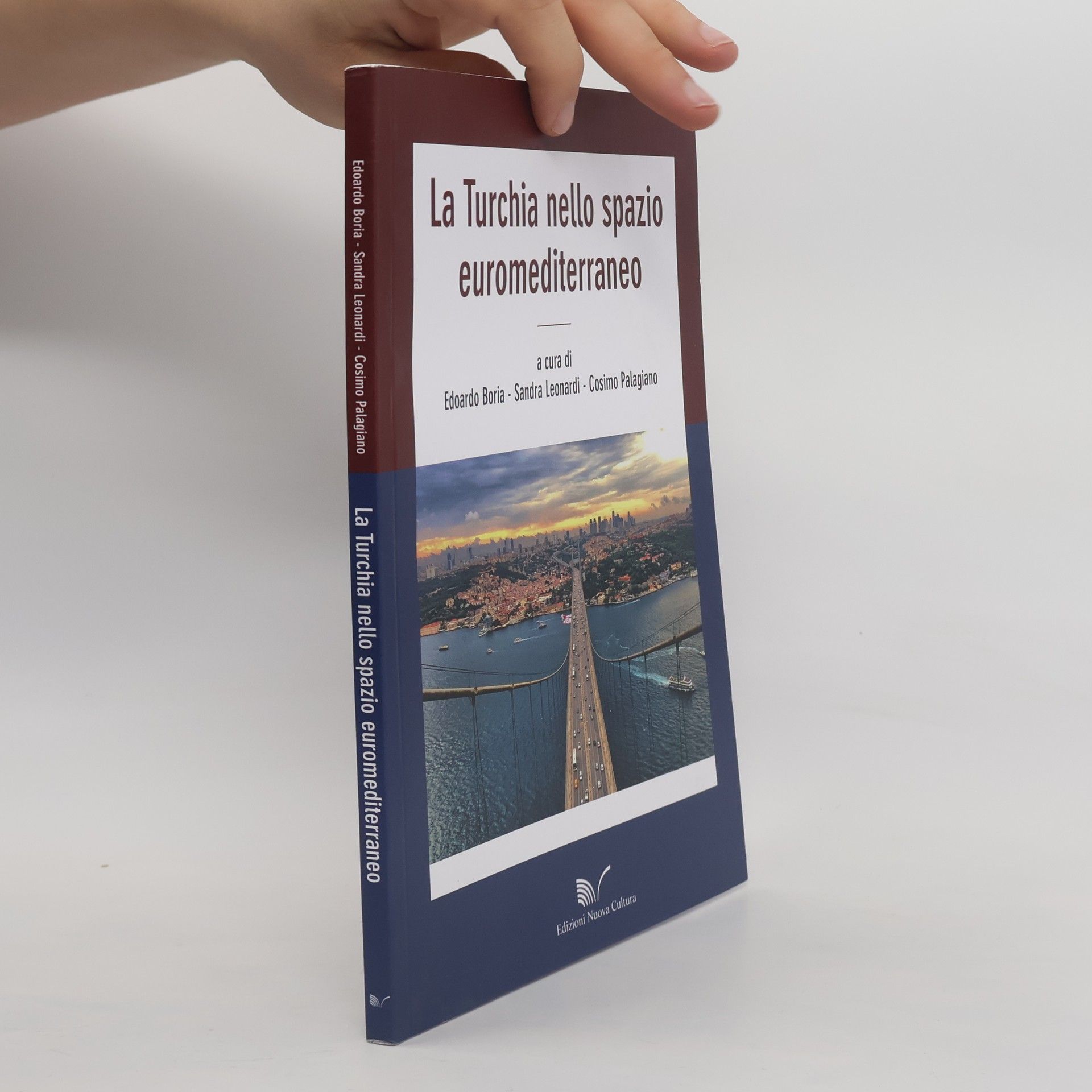 Cosimo Palagiano La Turchia nello spazio euromediterraneo