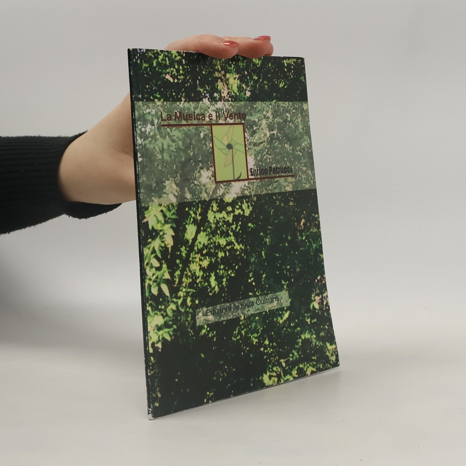 Enrico Petrucci La musica e il vento
