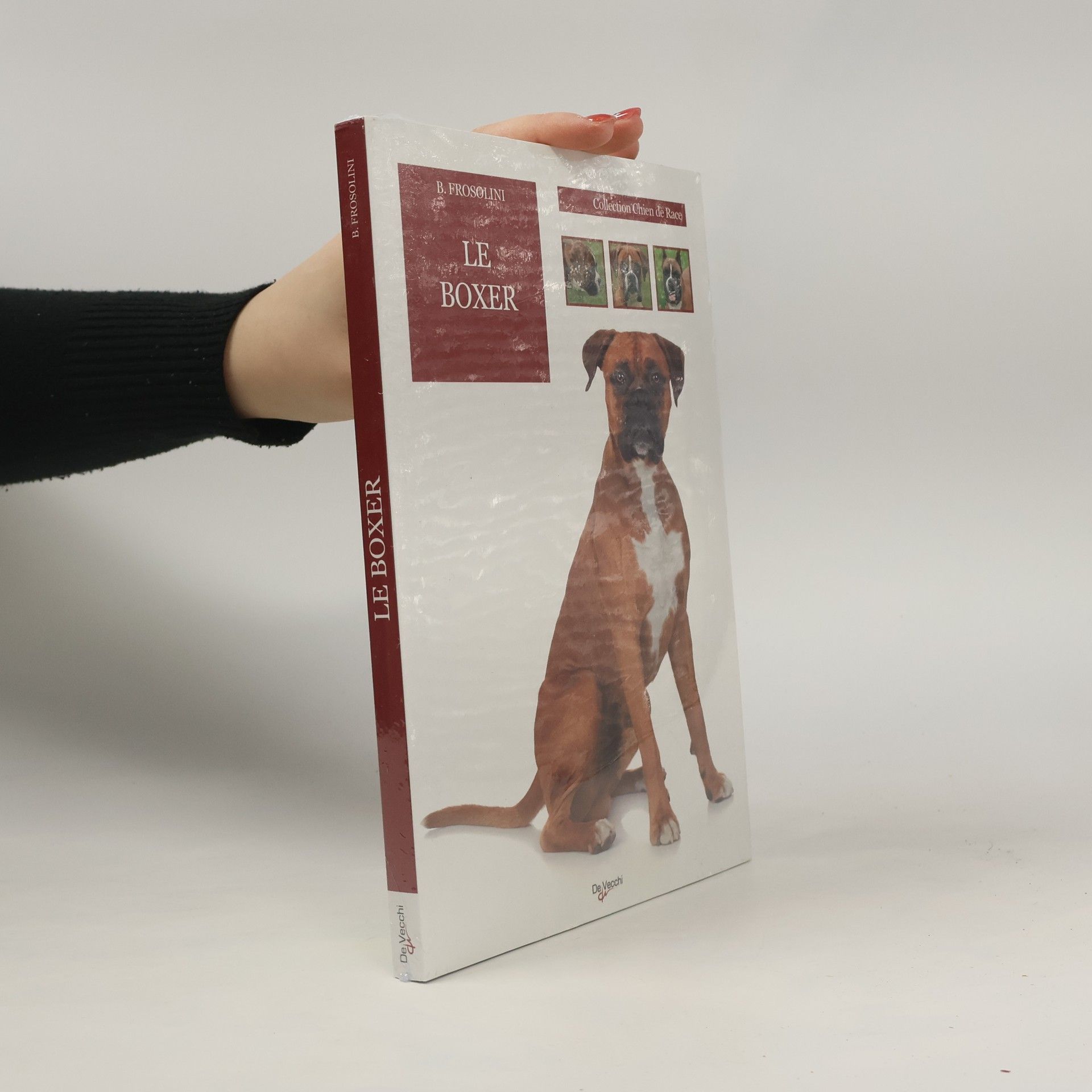 Bianca Frosolini Boxer