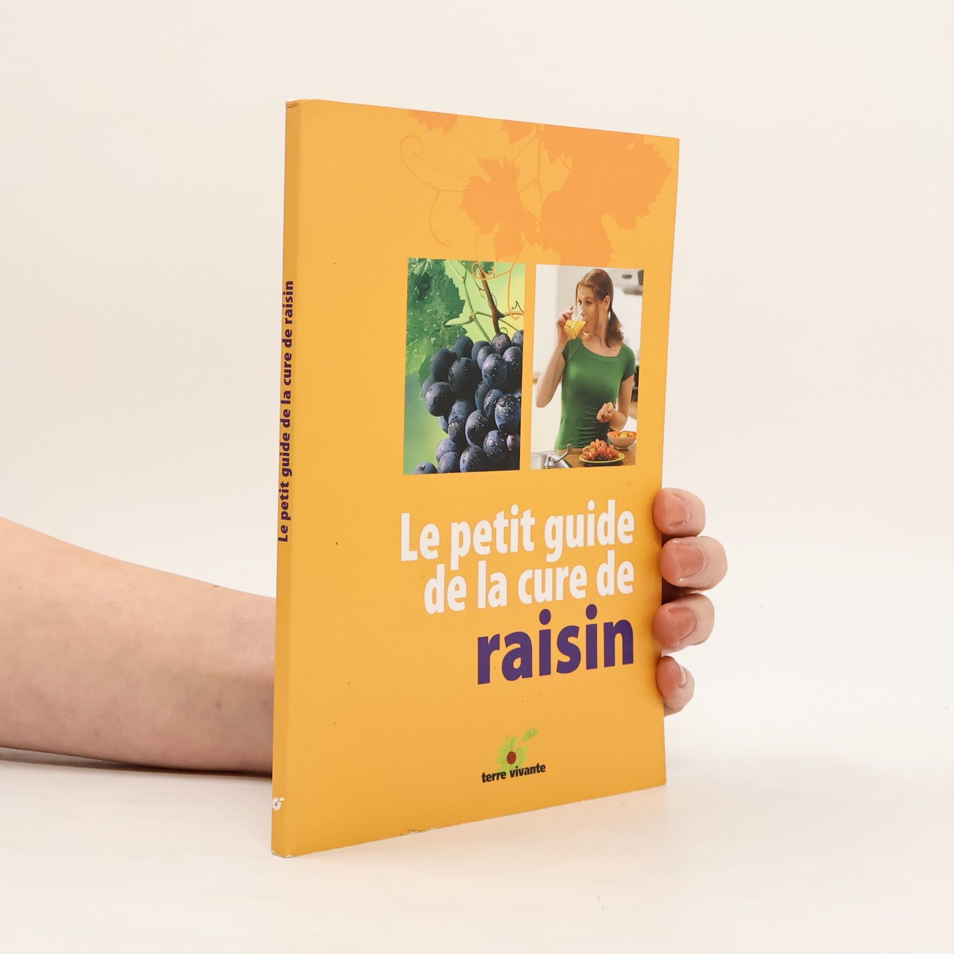 Claude Aubert Le petit guide de la cure de raisin