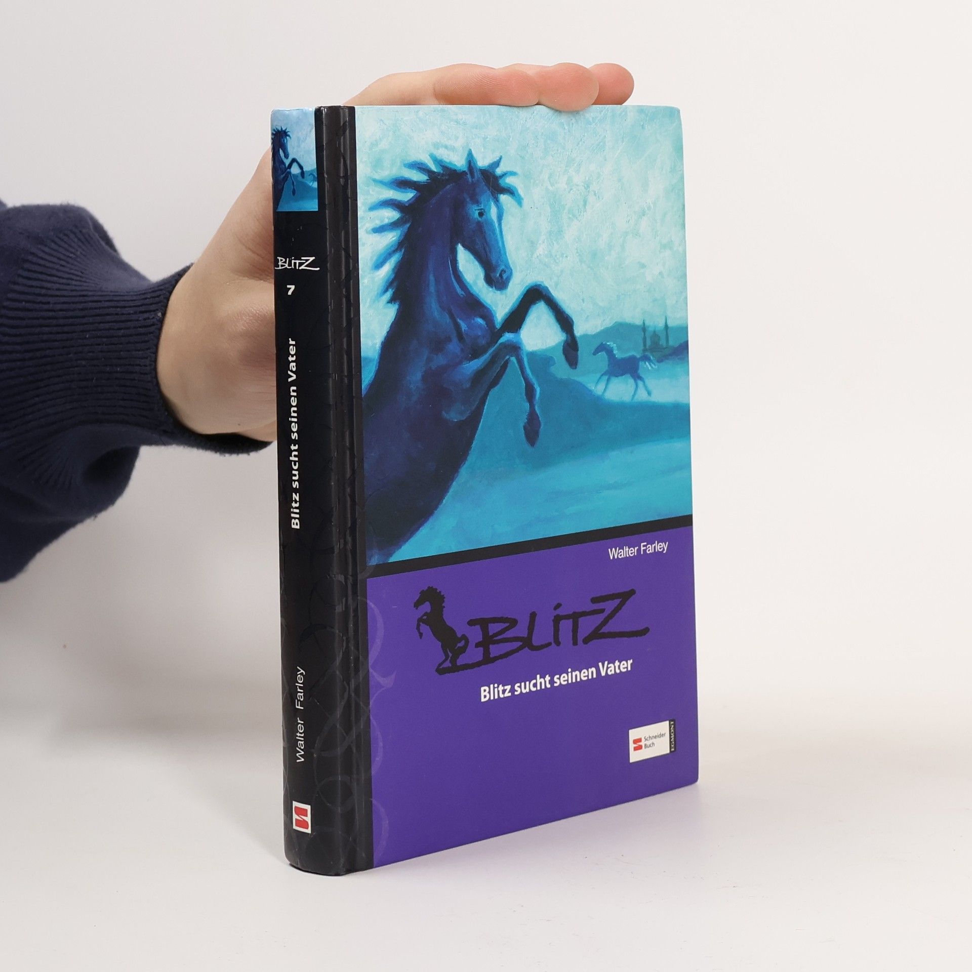 Walter Farley Blitz sucht seinen Vater. Band 7