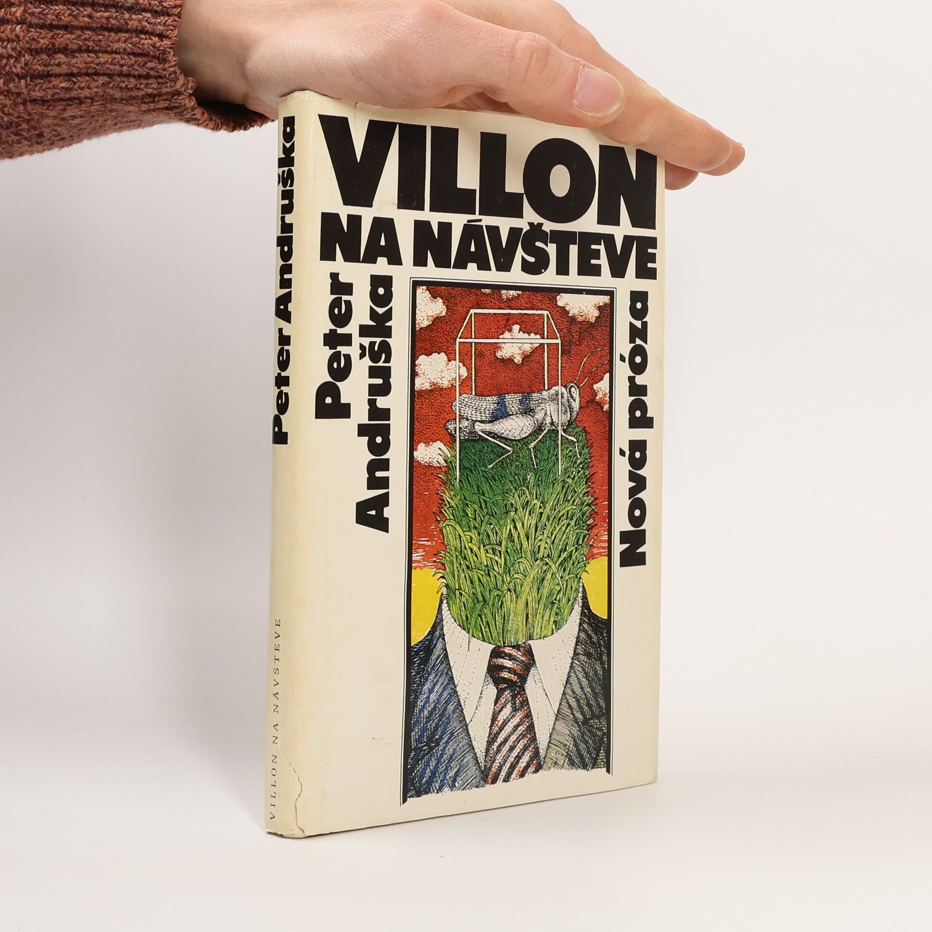 Peter Andruška Villon na návštěvě