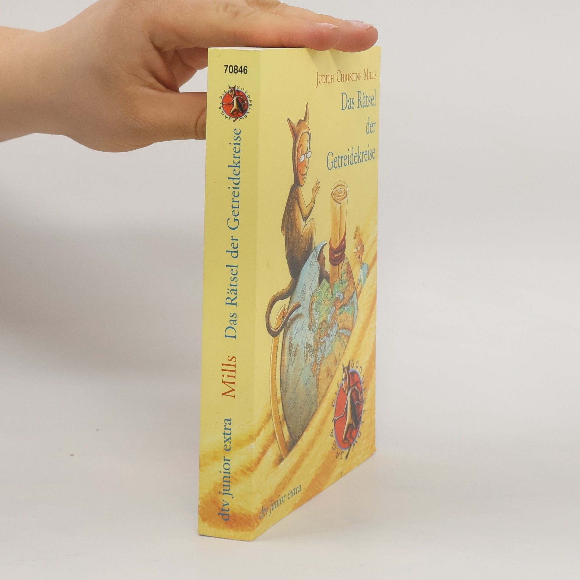 Judith Christine Mills Das Rätsel der Getreidekreise