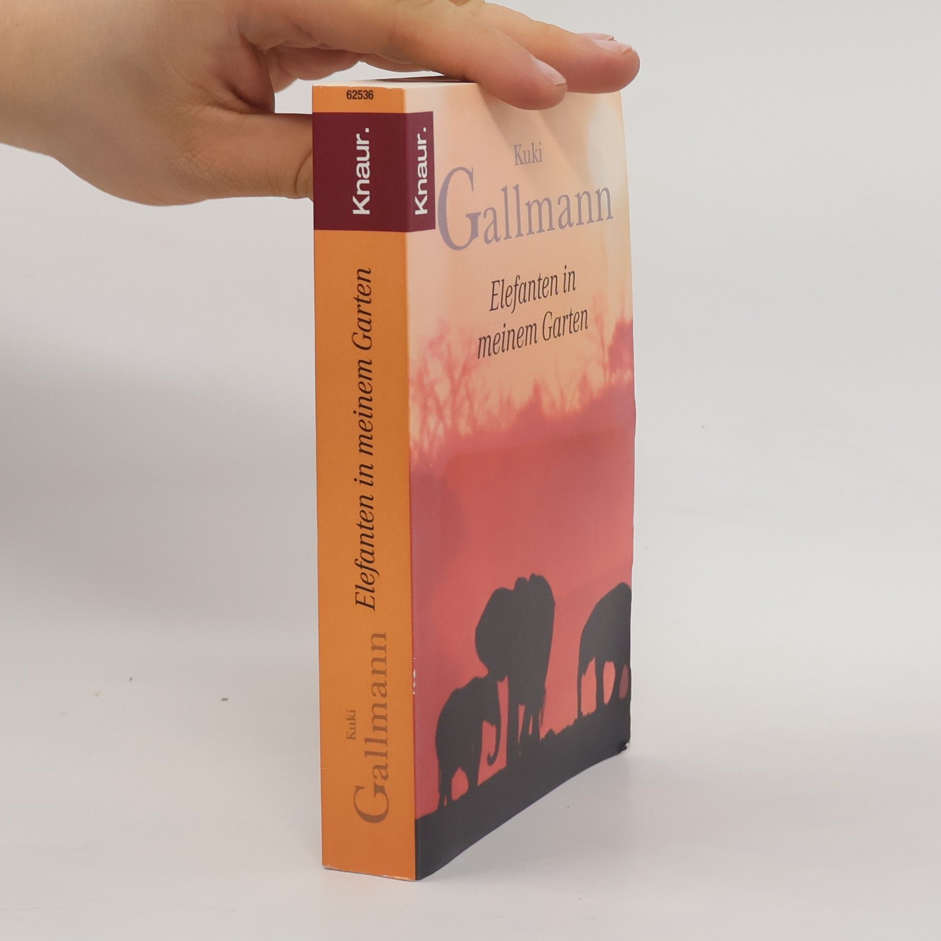 Kuki Gallmann Elefanten in meinem Garten