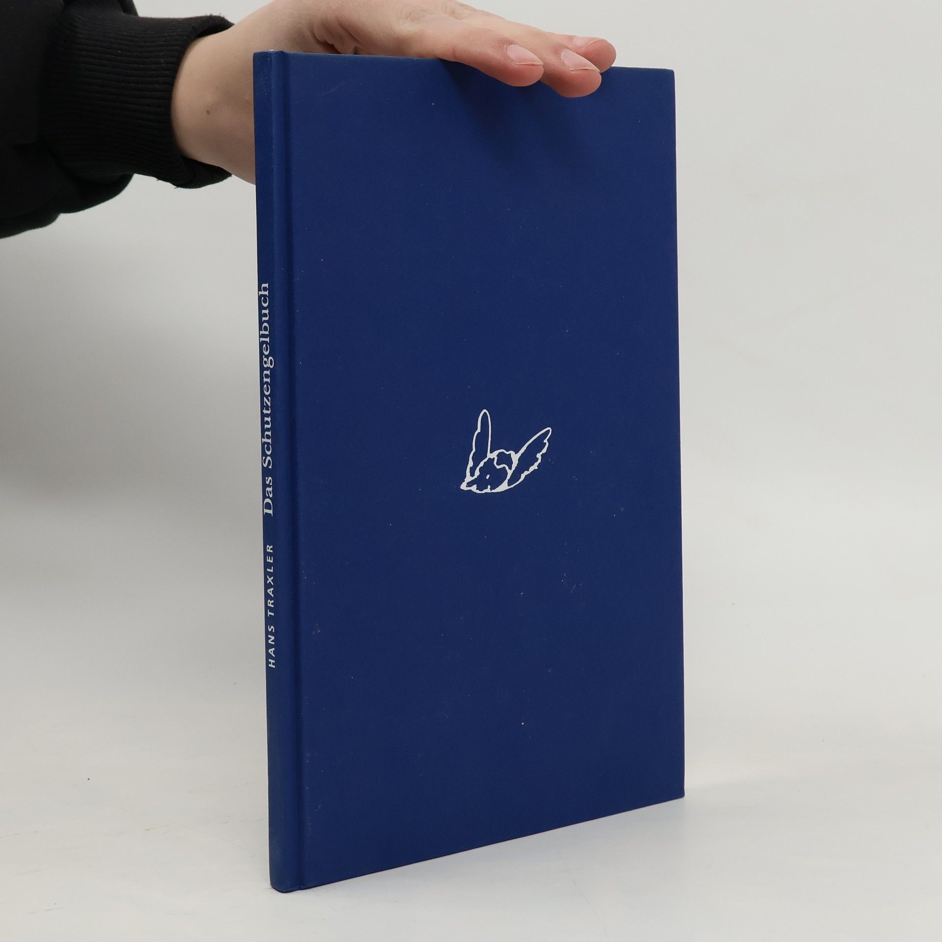 Hans Traxler Das Schutzengelbuch