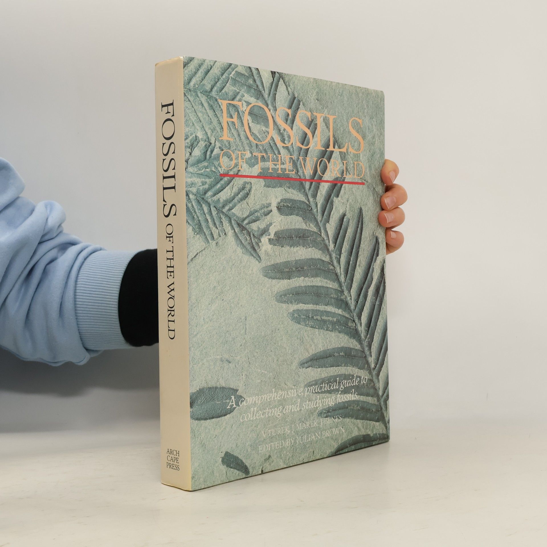 Collectif d'auteurs Fossils of the World