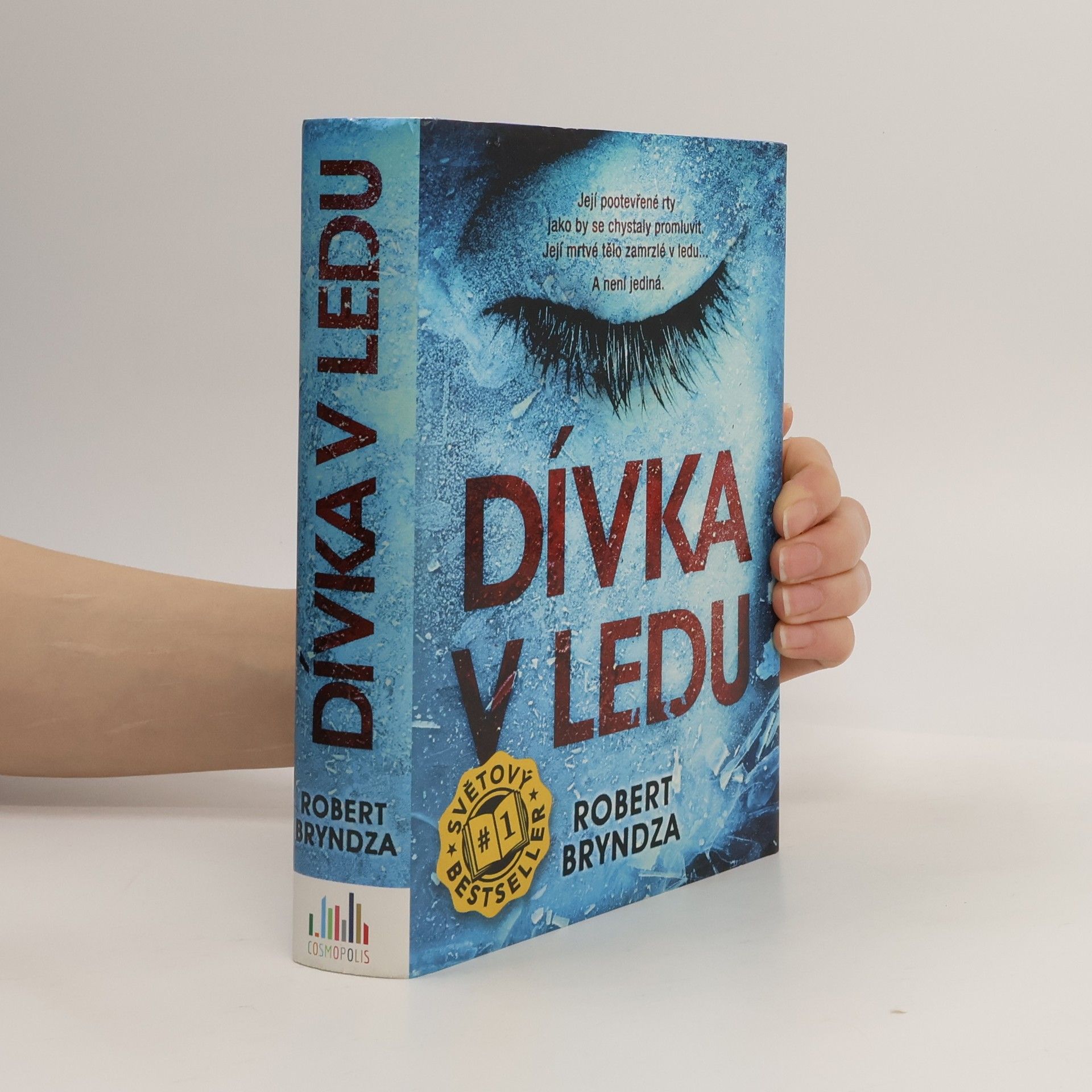 Robert Bryndza Dívka v ledu