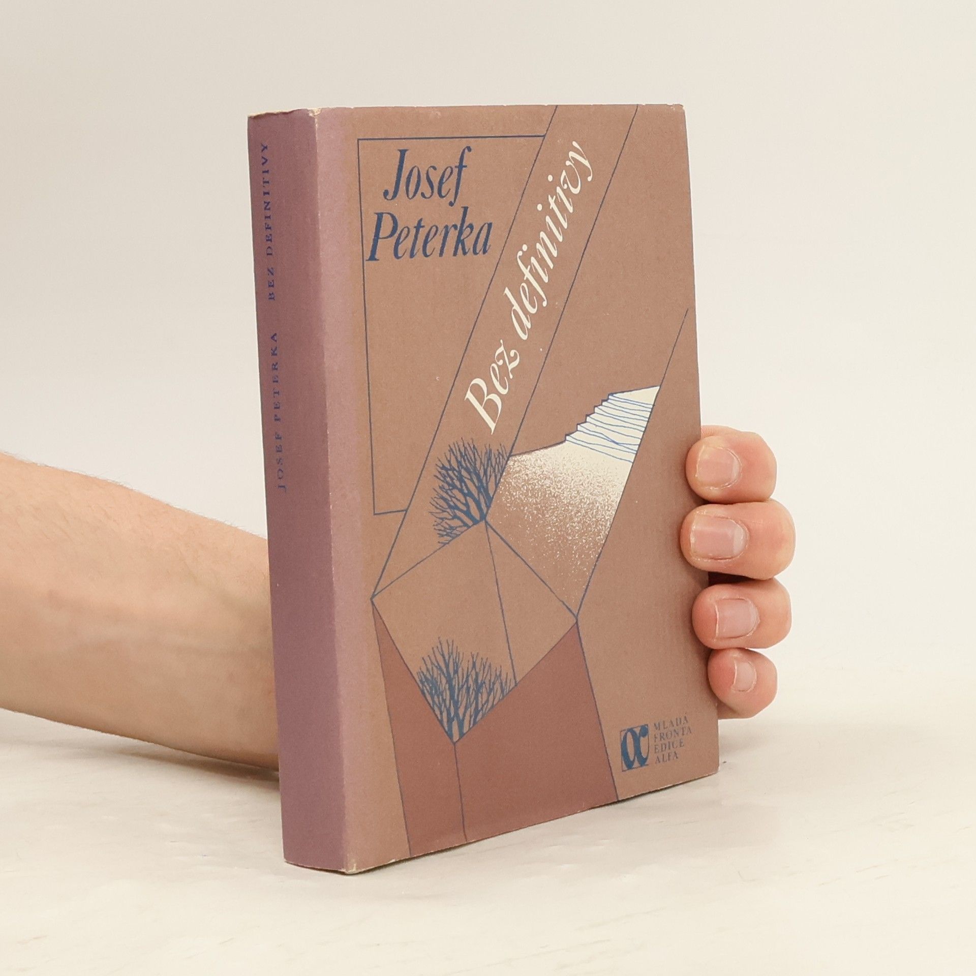 Josef Peterka Bez definitivy