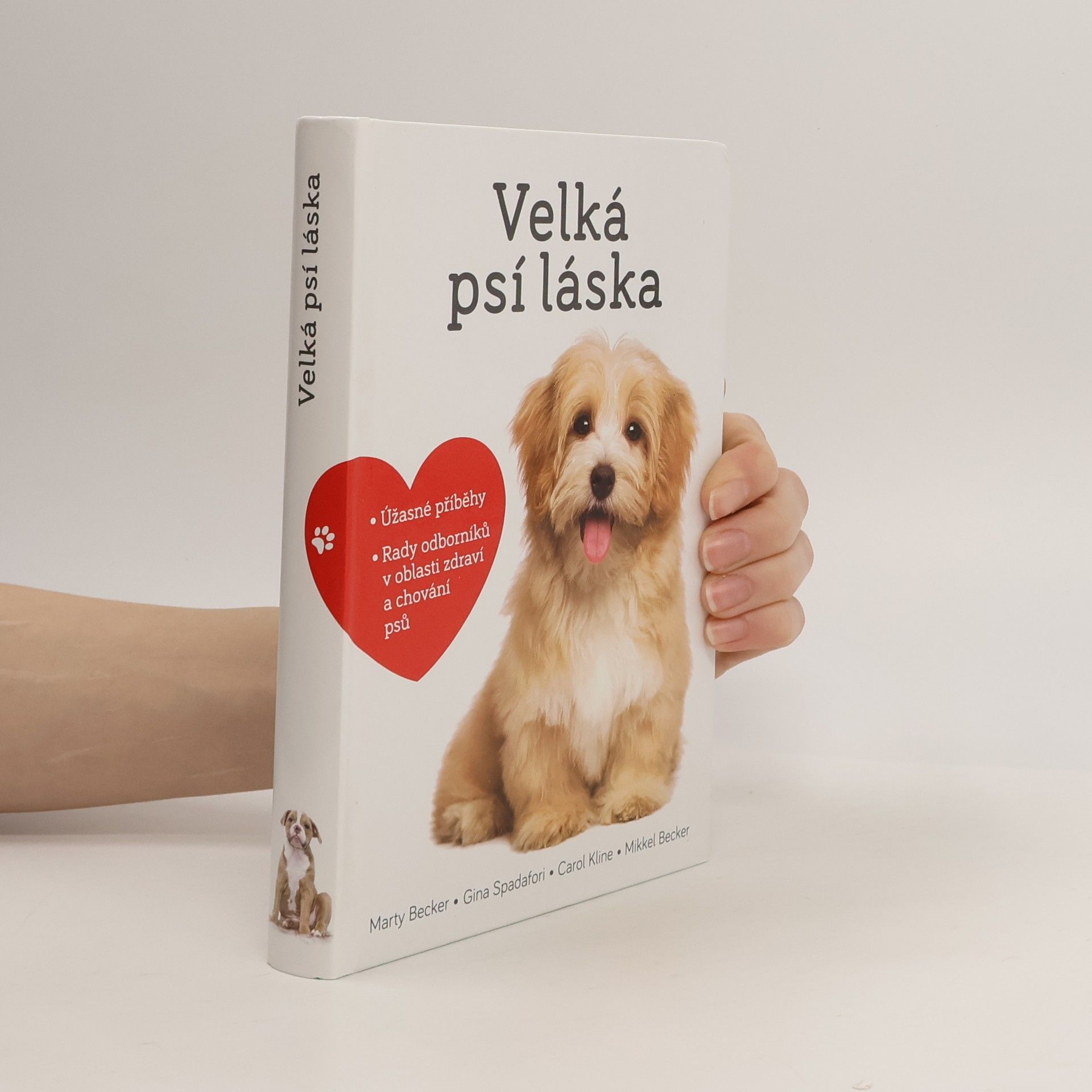 Marty Becker Velká psí láska: Příběhy, rady a úžasné fotografie psích bytostí
