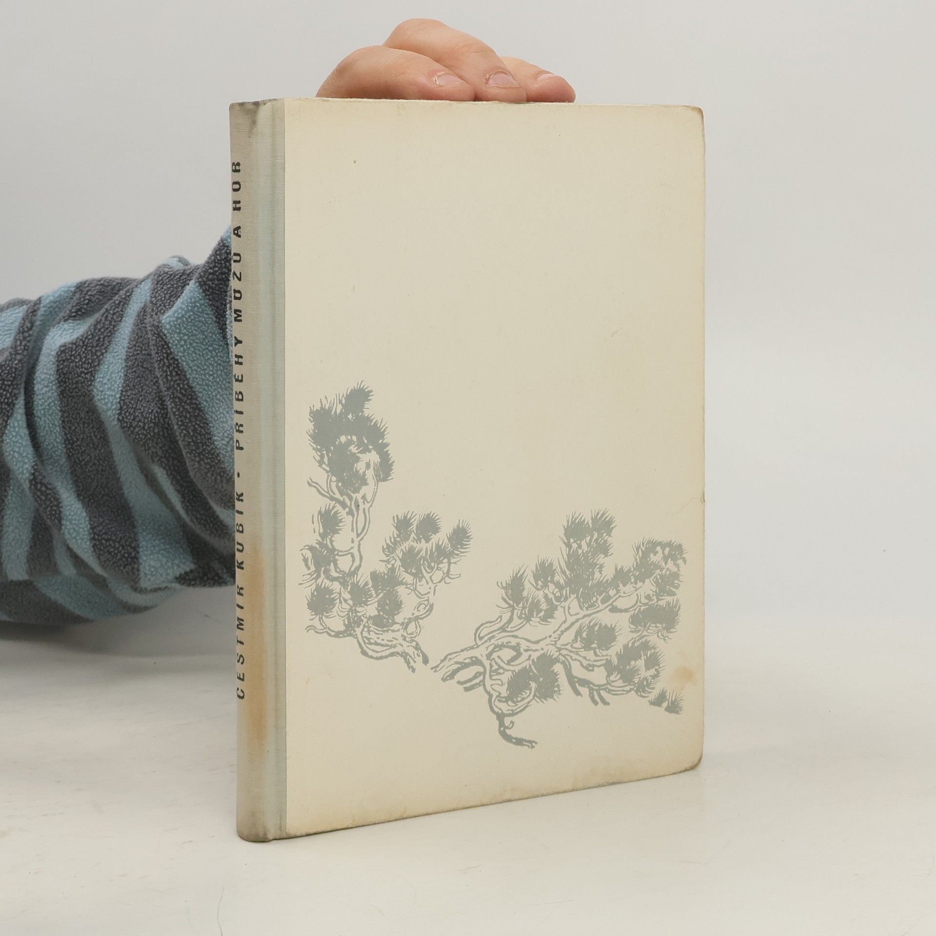 Čestmír Kubík Příběhy mužů a hor