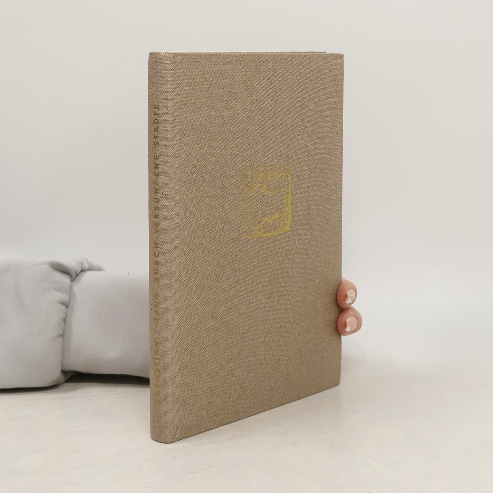 Klaus Sebastian Gang durch Versunkene Städte