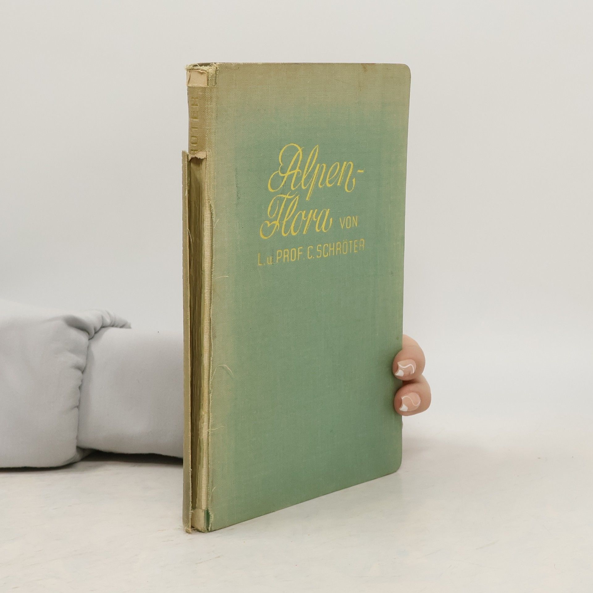 C. Schröter Taschenflora des Alpen-wanderers