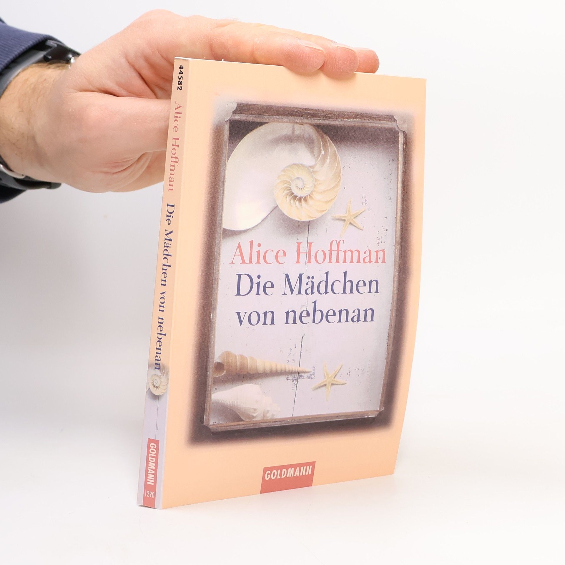 Alice Hoffman Die Mädchen von nebenan