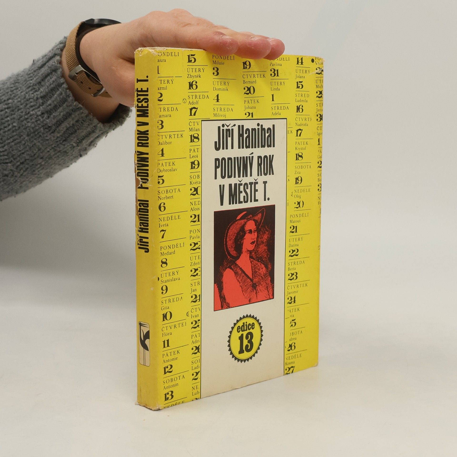 Jiří Hanibal Podivný rok v městě T.