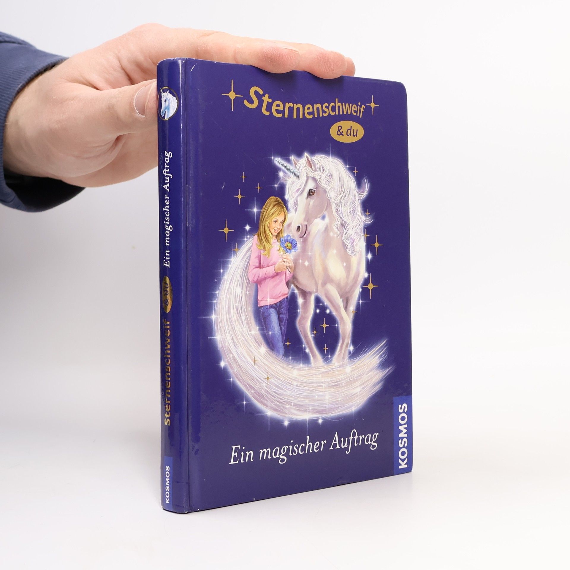 Linda Chapman Ein magischer Auftrag