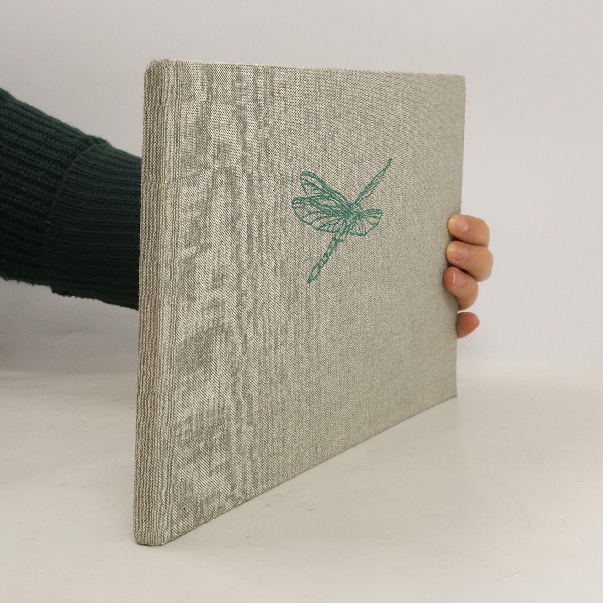 František Hrubín Kytička z náčrtníku