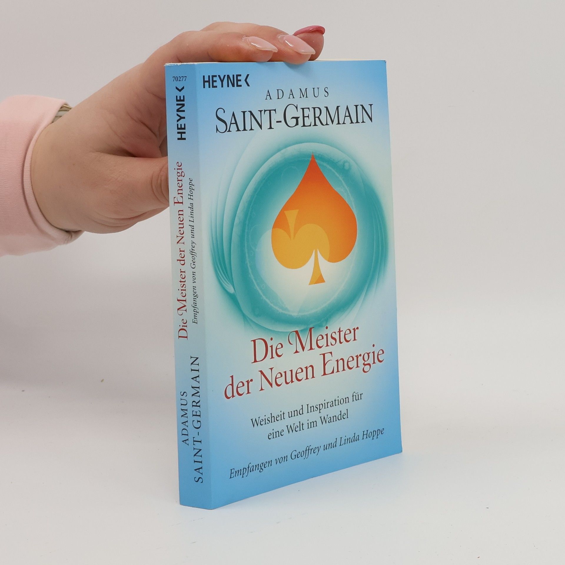 Geoffrey Hoppe Die Meister der neuen Energie