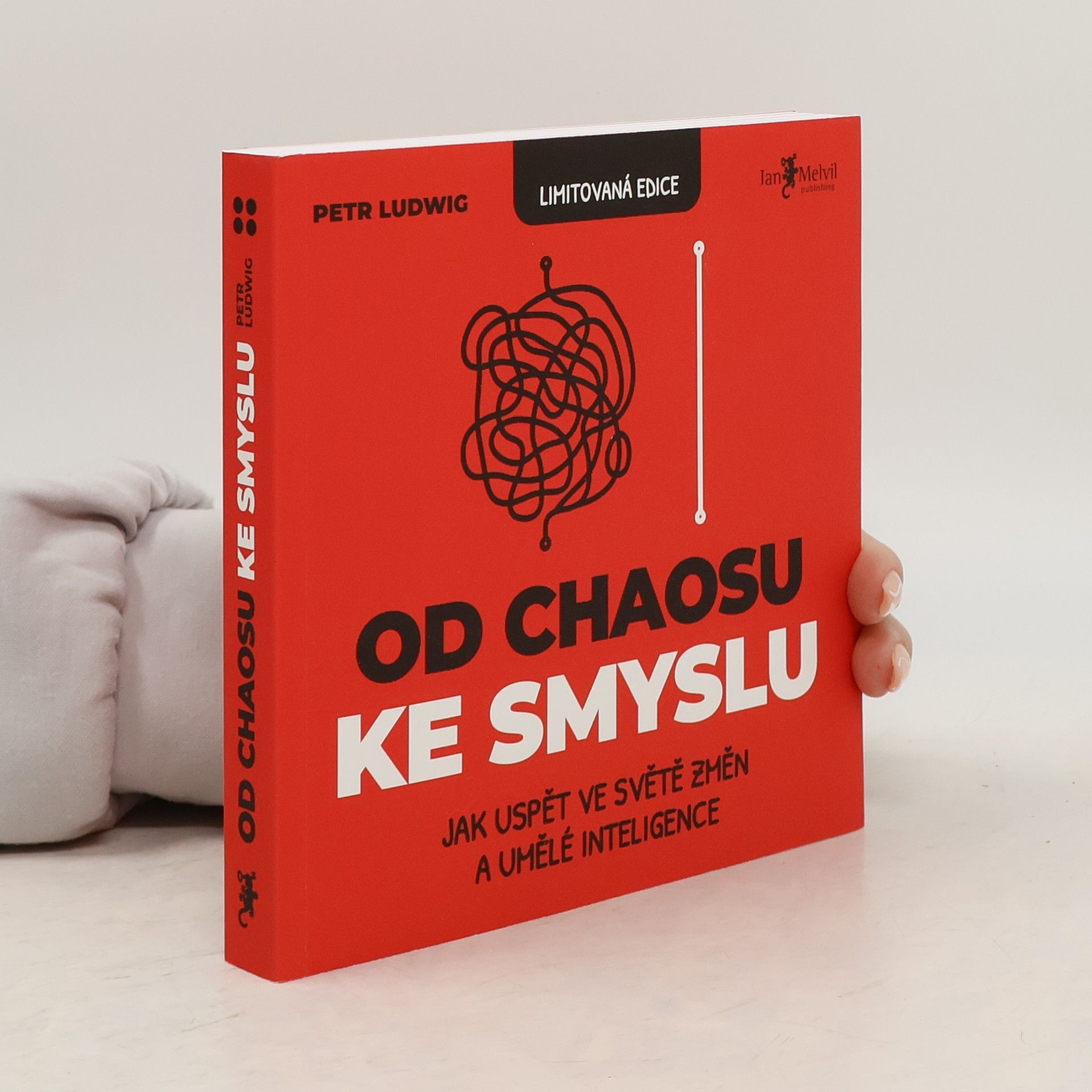 Petr Ludwig Od chaosu ke smyslu