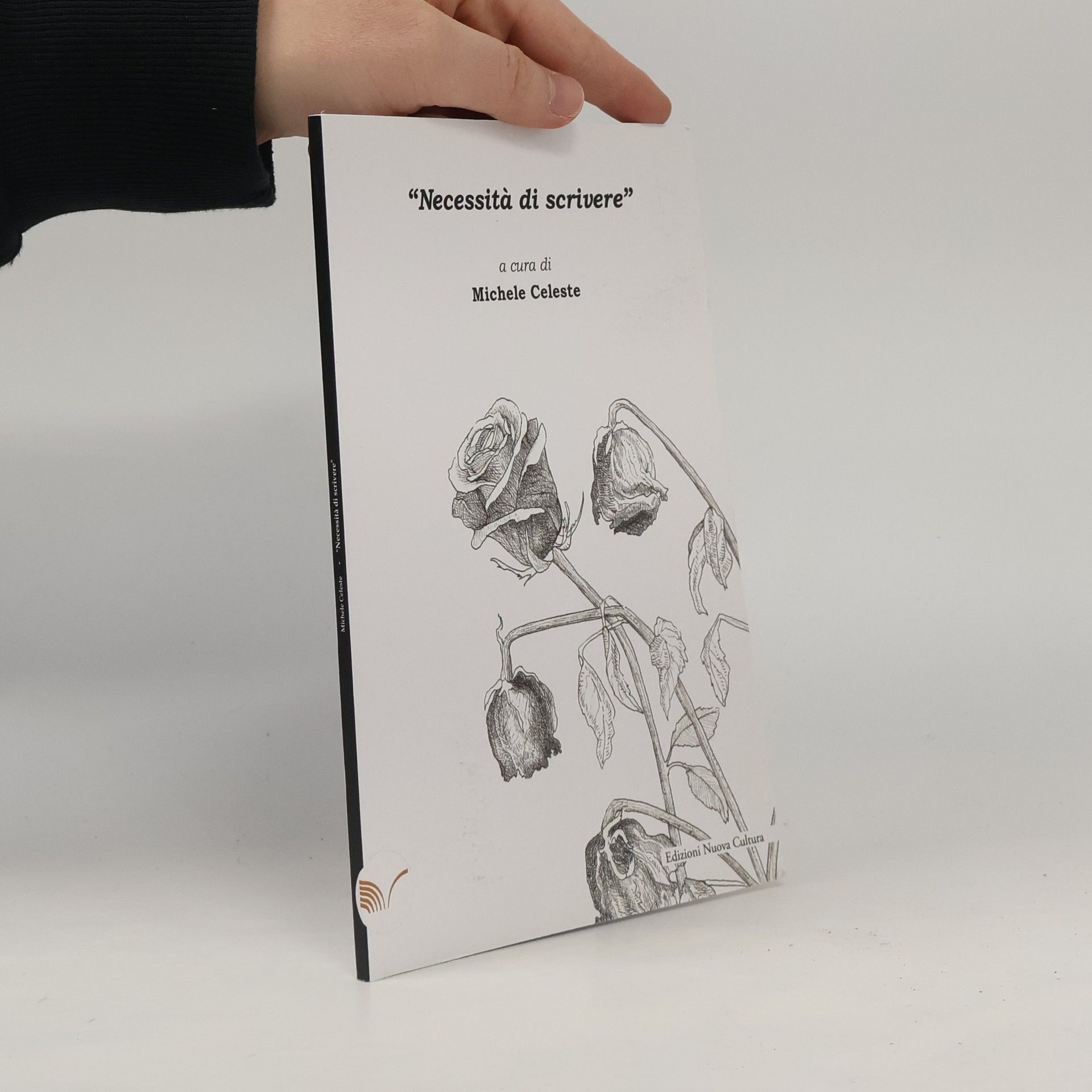 Michele Celeste Necessità di scrivere