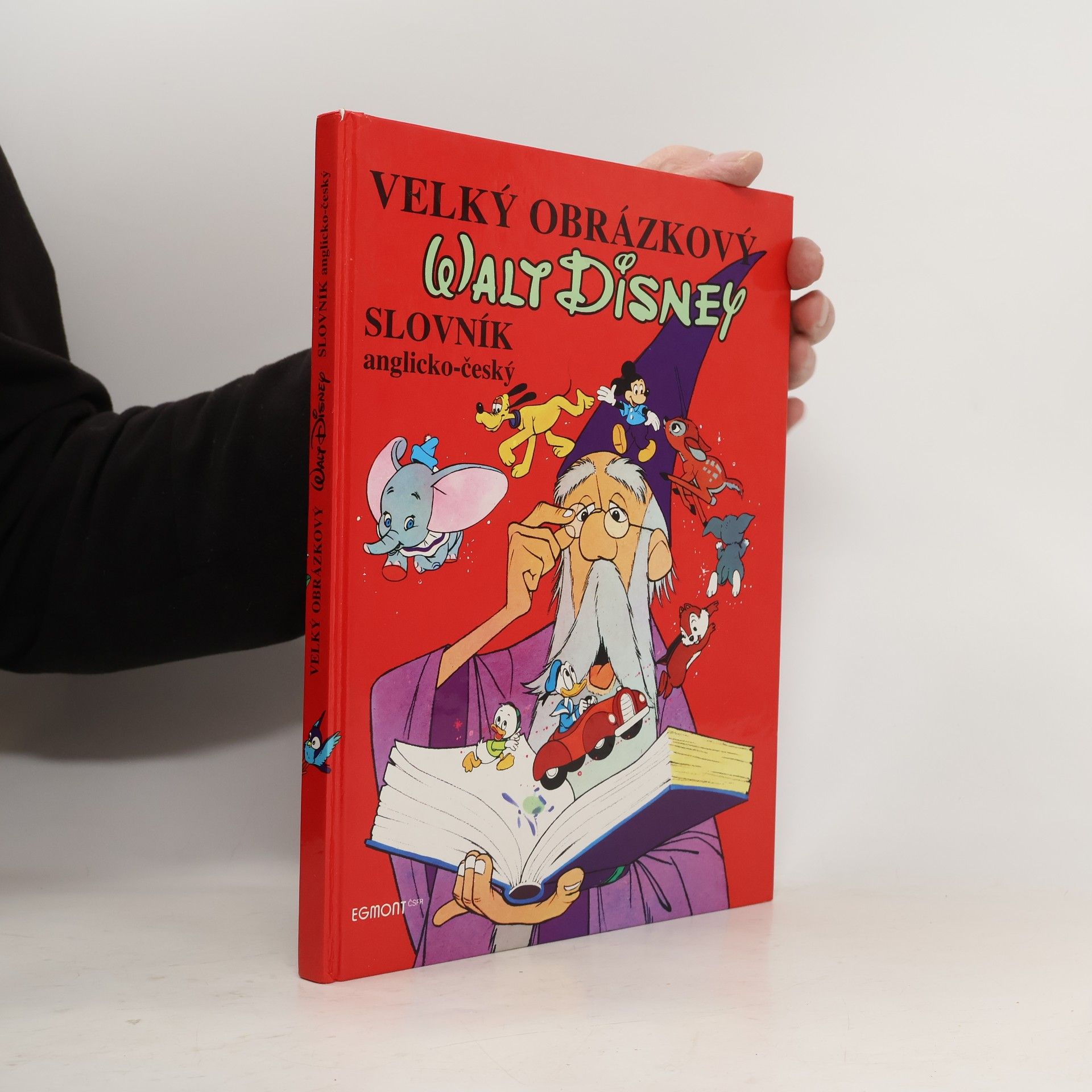 Walt Disney Velký obrázkový slovník anglicko-český
