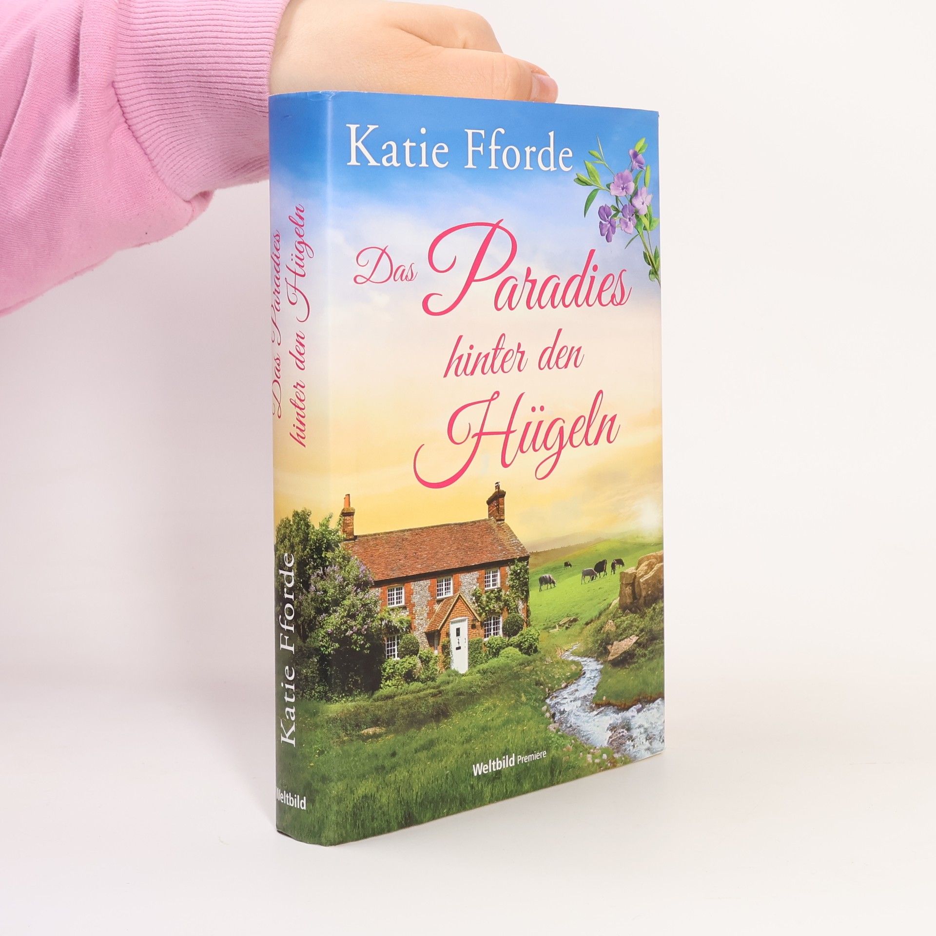 Katie Fforde Das Paradies hinter den Hügeln