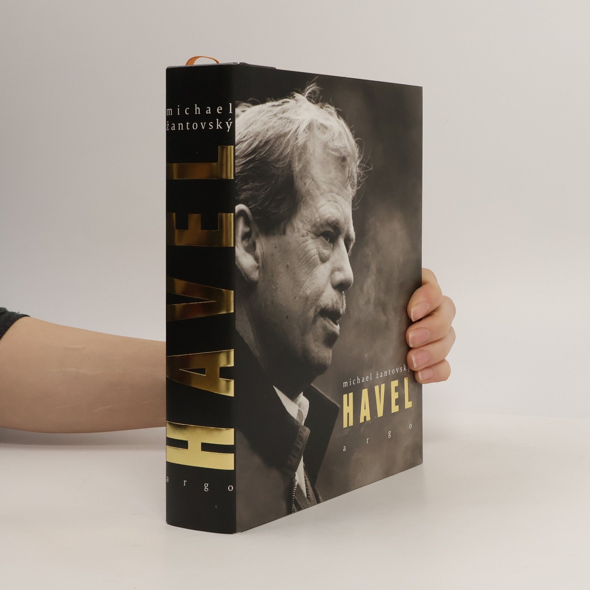 Michael Žantovský Havel