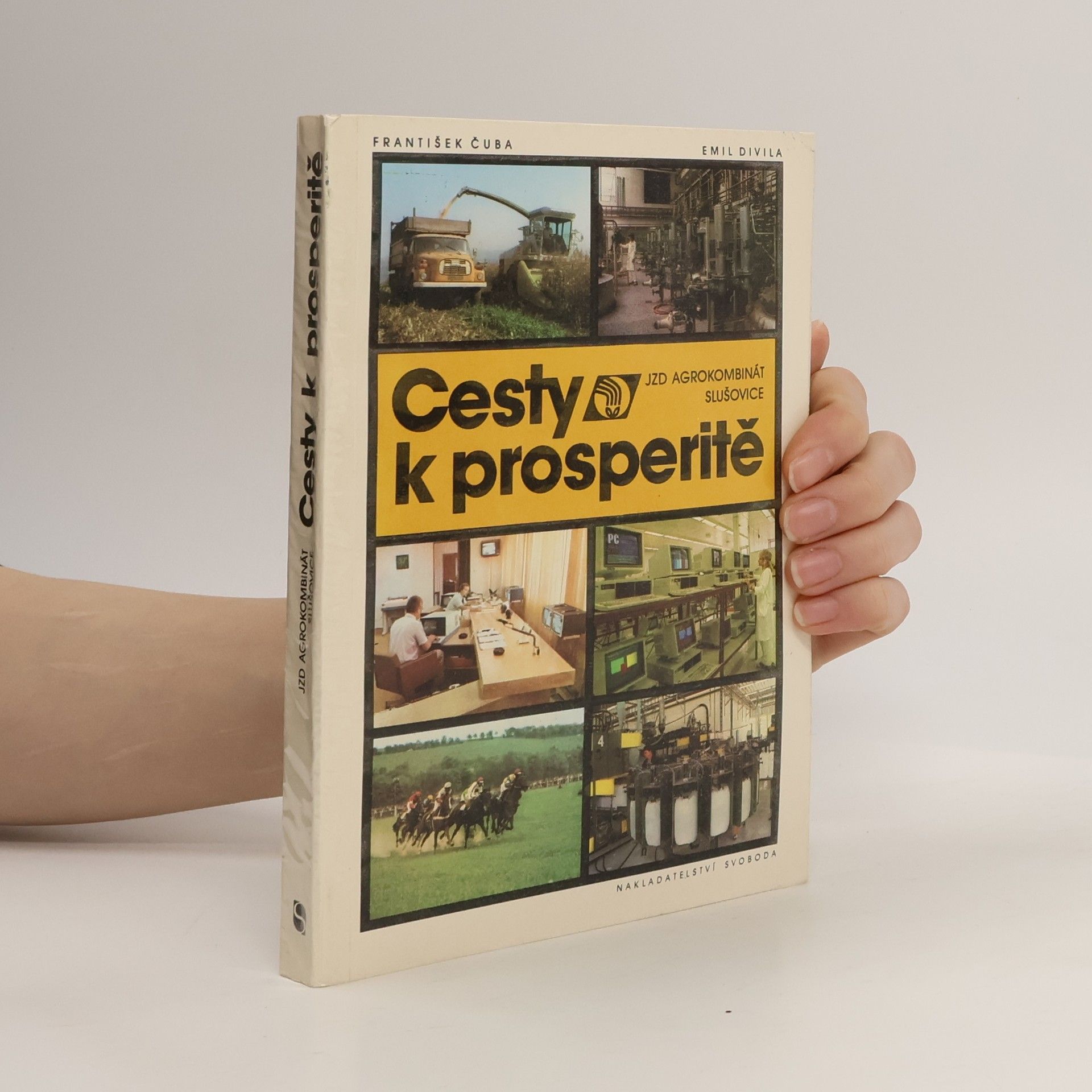 Emil Divila Cesty k prosperitě