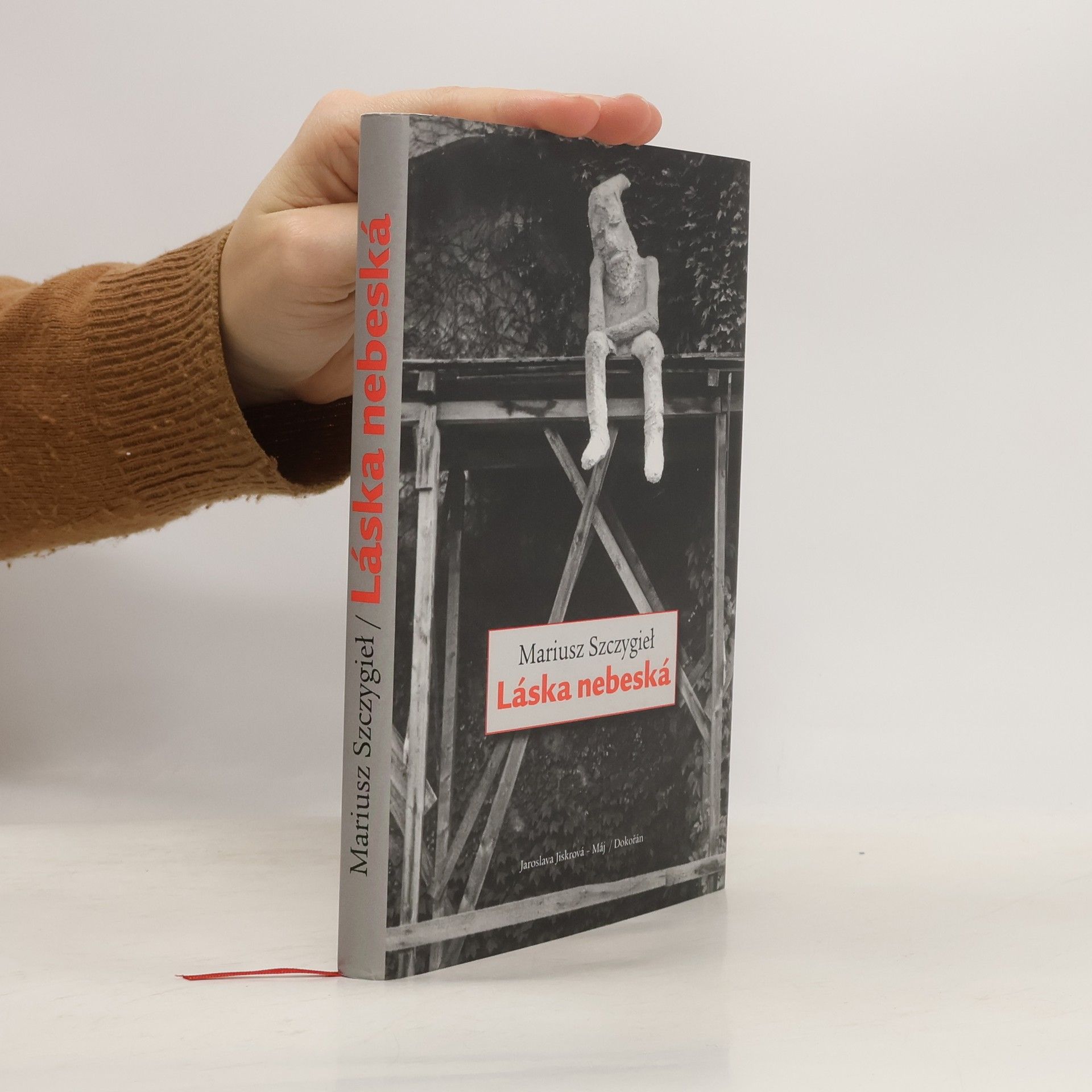 Mariusz Szczygieł Láska nebeská