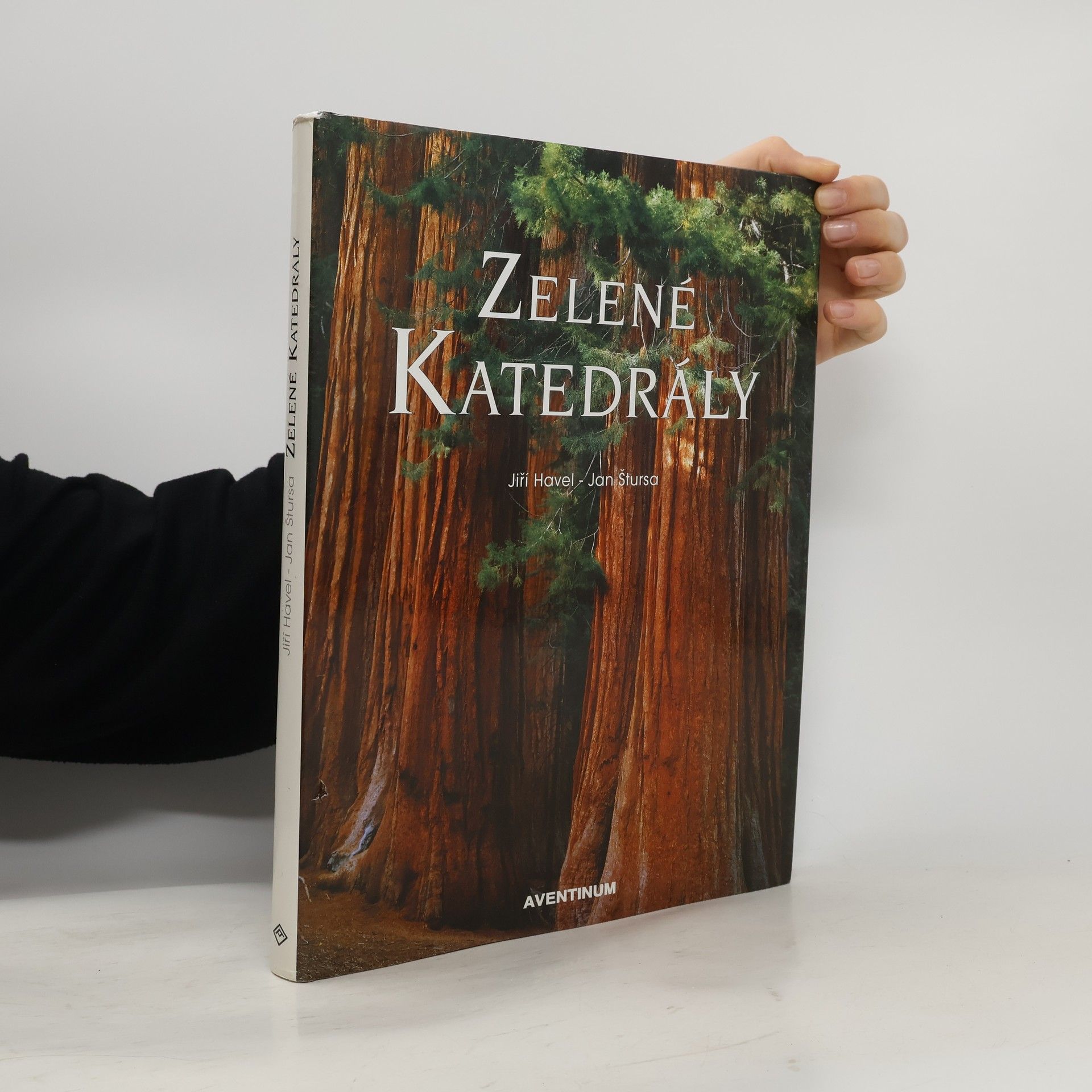 Jiří Havel Zelené katedrály