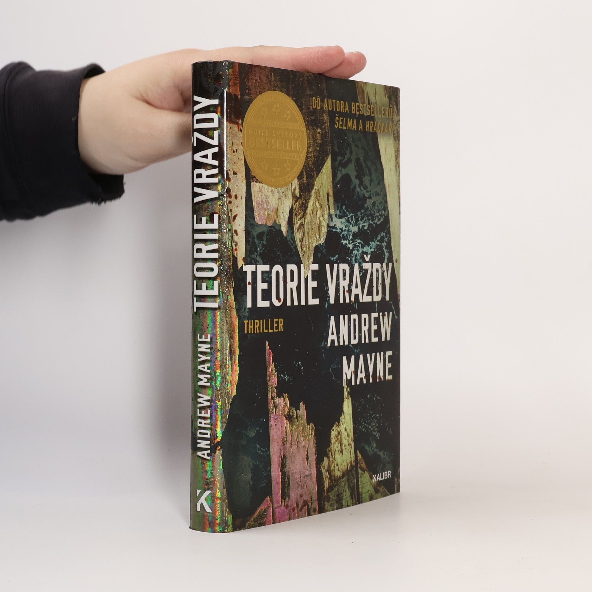 Andrew Mayne Teorie vraždy